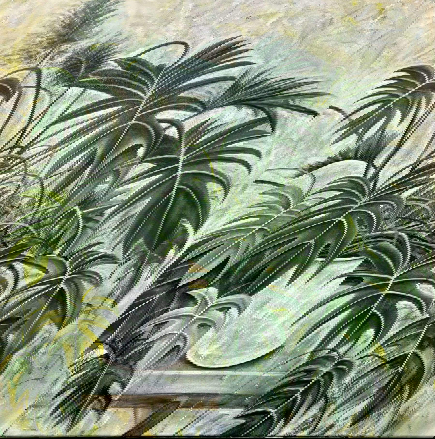 Antonio Bardino, Sans titre (2024 ; huile sur toile, 95 x 95 cm) Antonio Bardino, Sans titre (2024 ; huile sur toile, 95 x 95 cm)