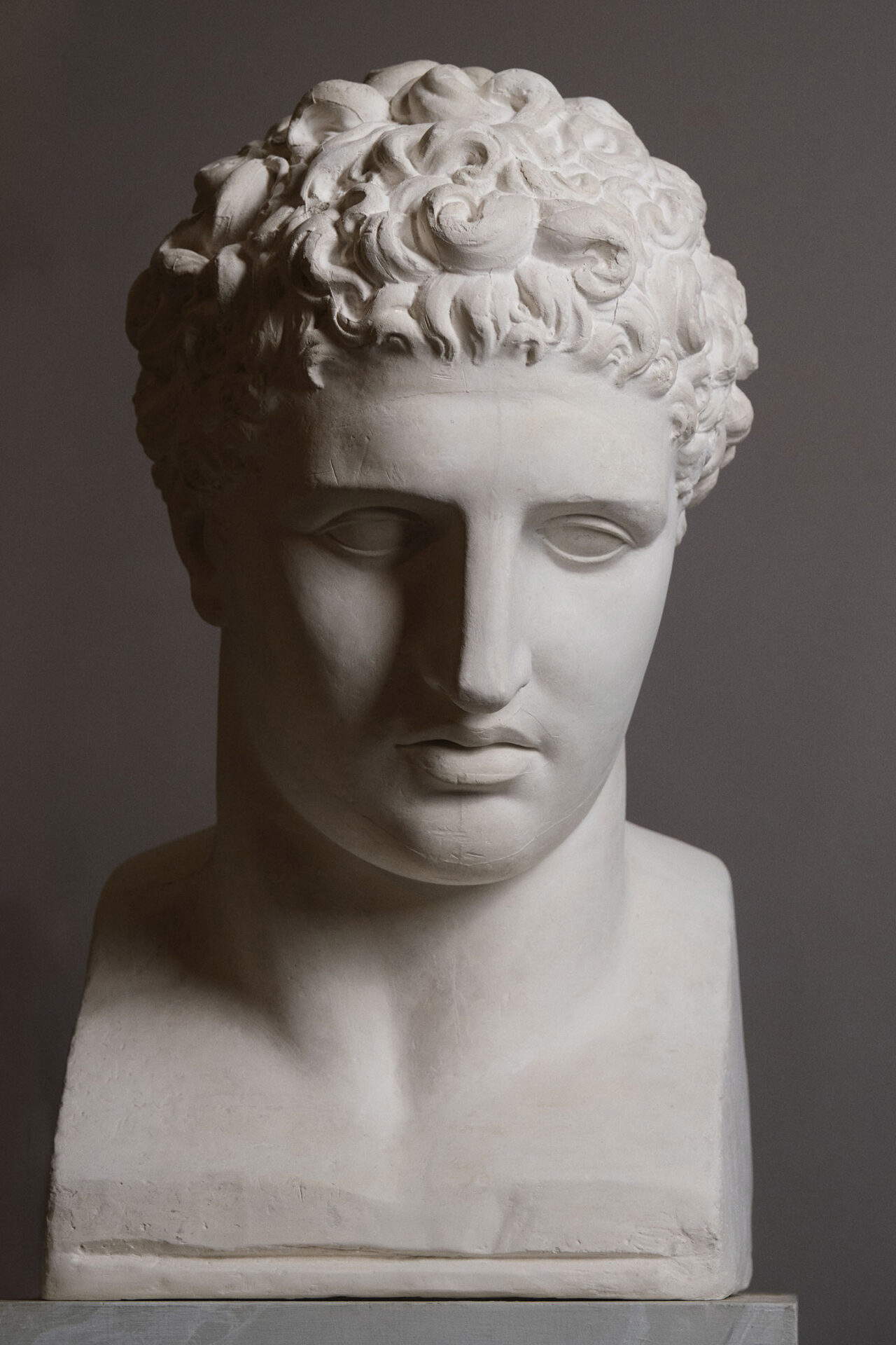 Antonio Canova, Cabeza de Teseo (yeso). Foto: Lino Zanesco.