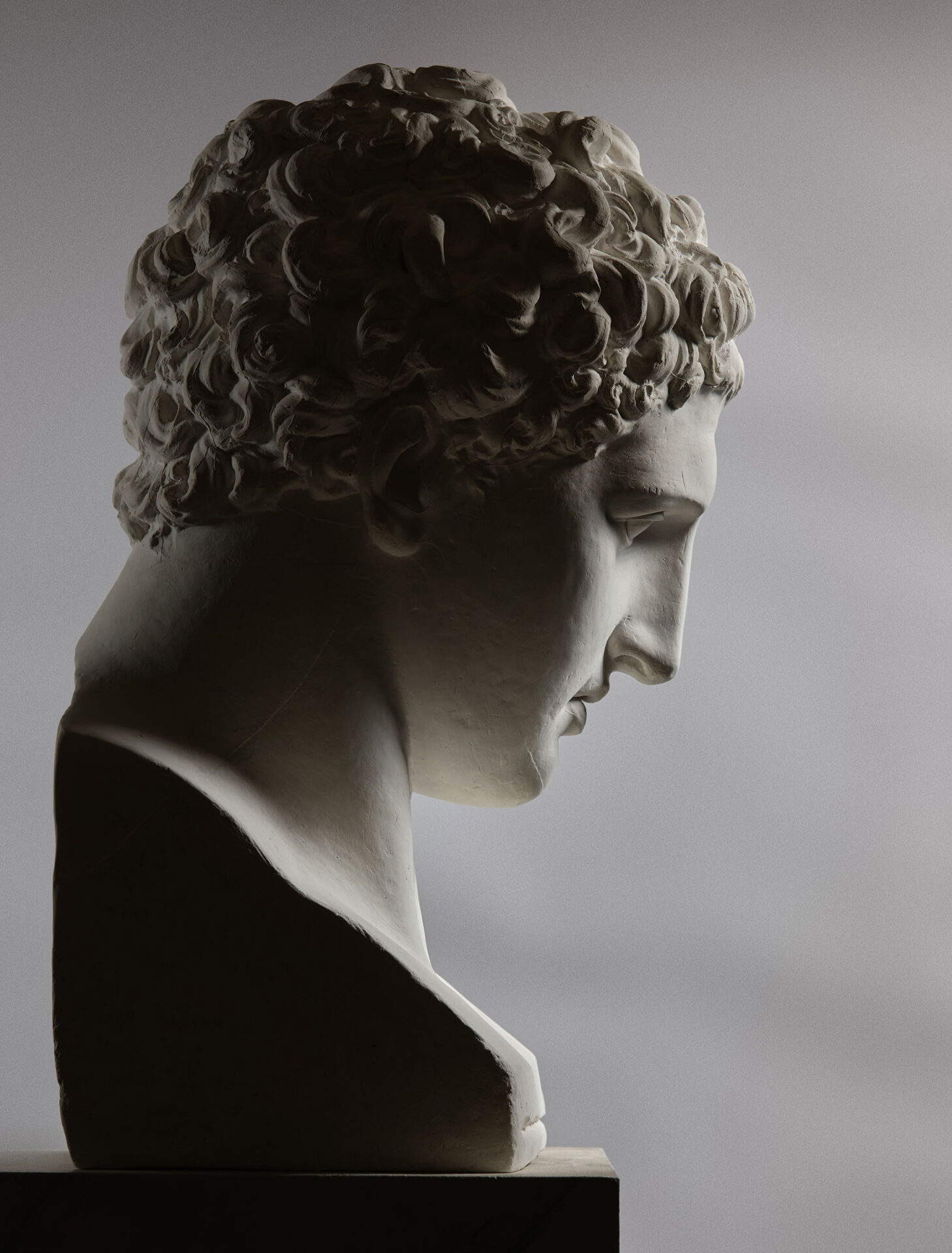 Antonio Canova, Cabeza de Teseo (yeso). Foto: Lino Zanesco.
