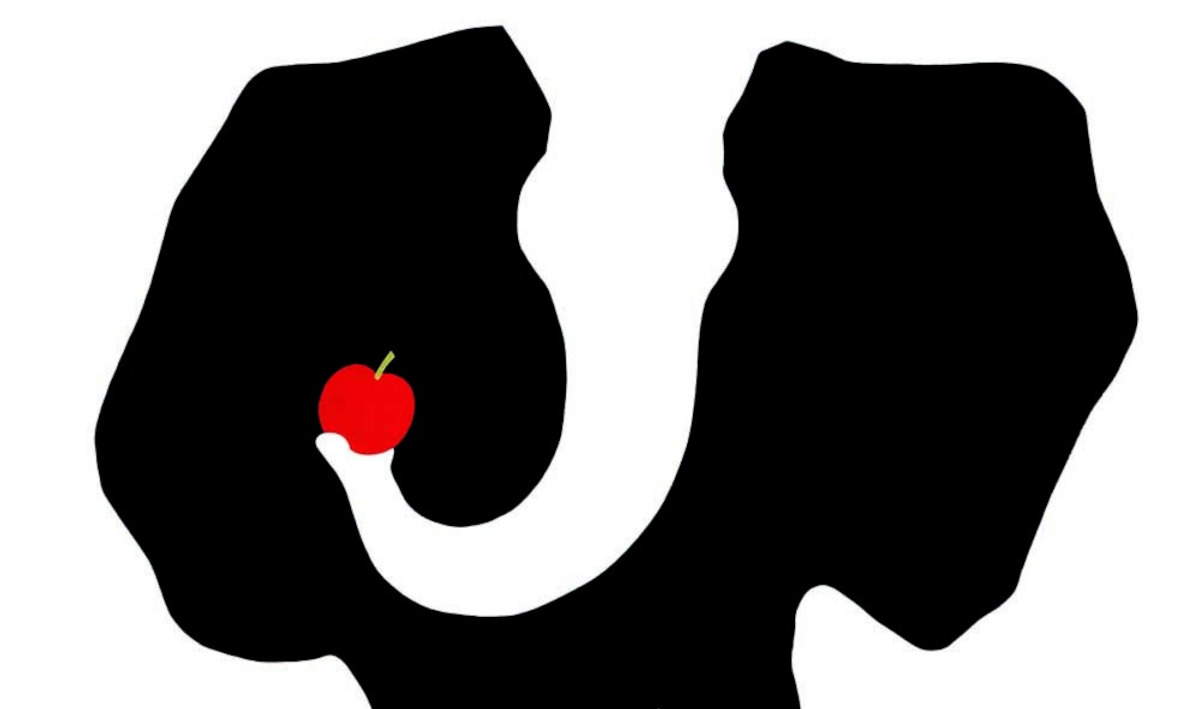 In Siena, im Palazzo delle Papesse, wird eine große Retrospektive über Armando Testa gezeigt