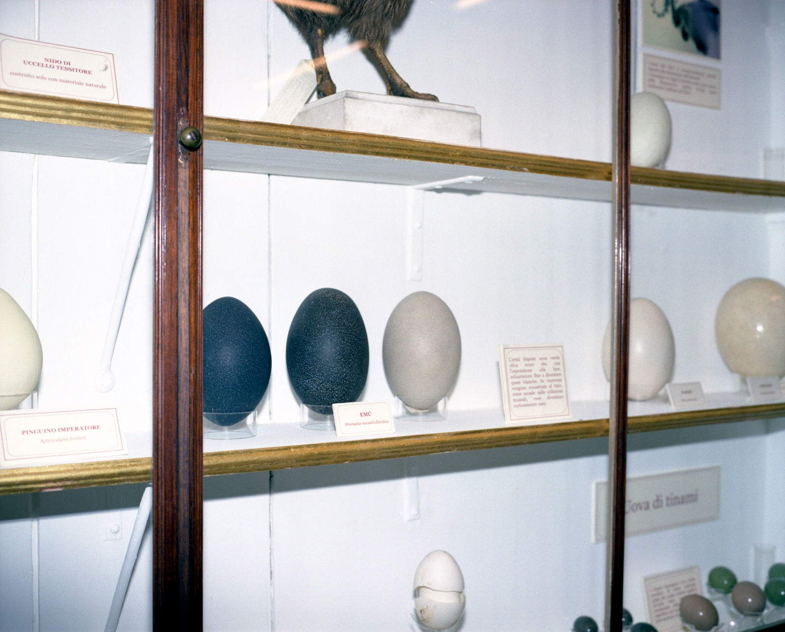 Armin Linke, Withdrawals. Photo: Coco District