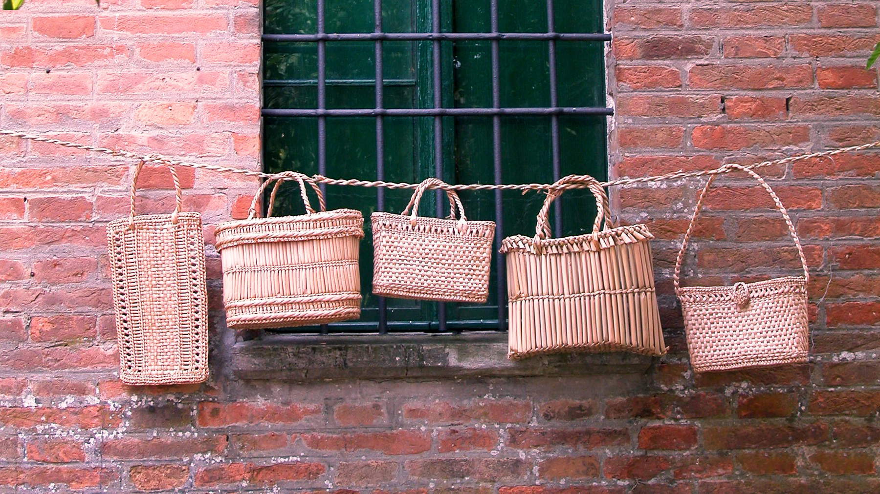 Entrelacs d'herbes marécageuses