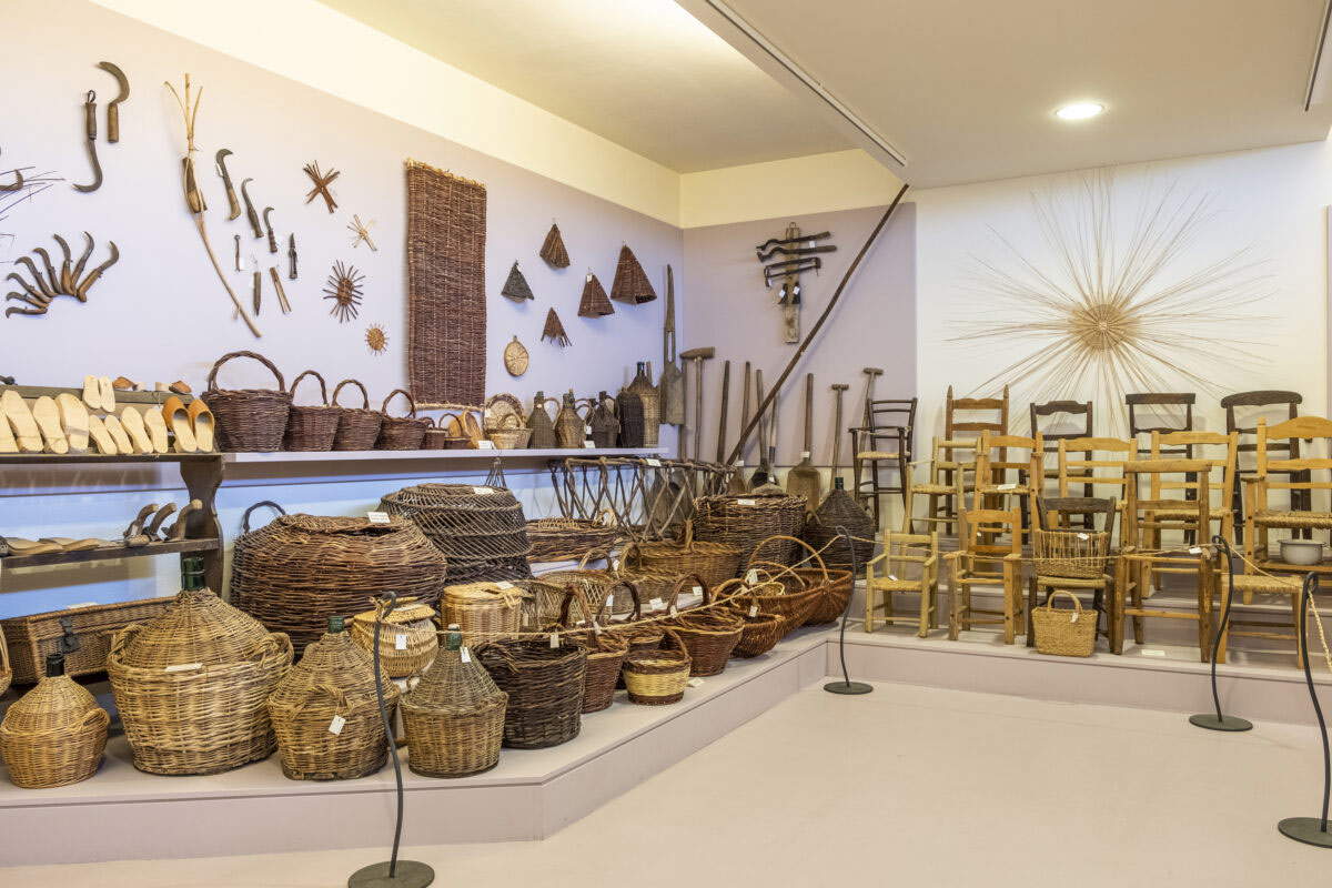 Entrelacs d'herbes marécageuses