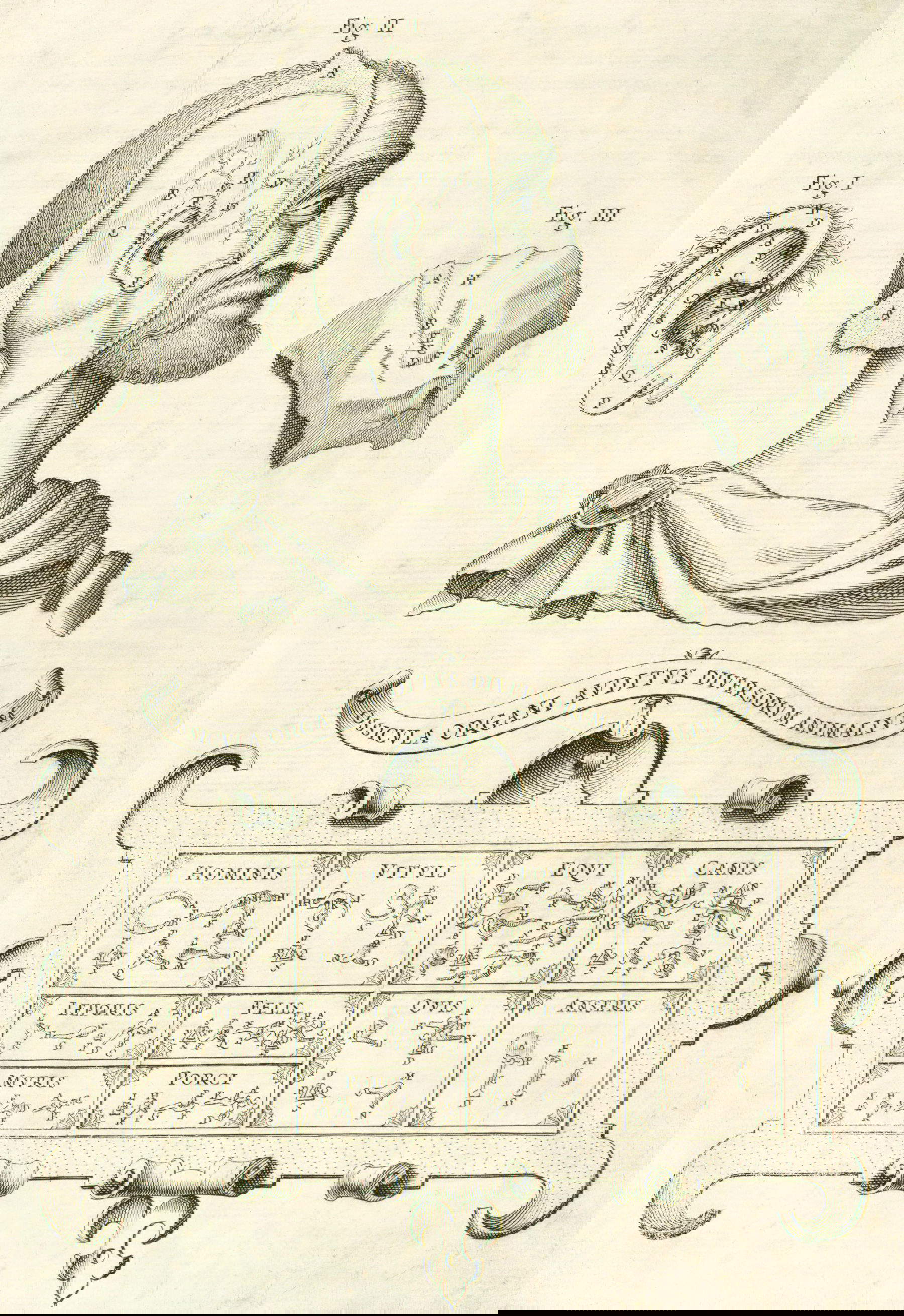 Athanasius Kircher, illustration de Musurgia Universalis (1650 ; édition : Ludovico Grignani, Rome, 1650 Bologne, Museo internazionale e biblioteca della musica, coll. D.82/1-2)