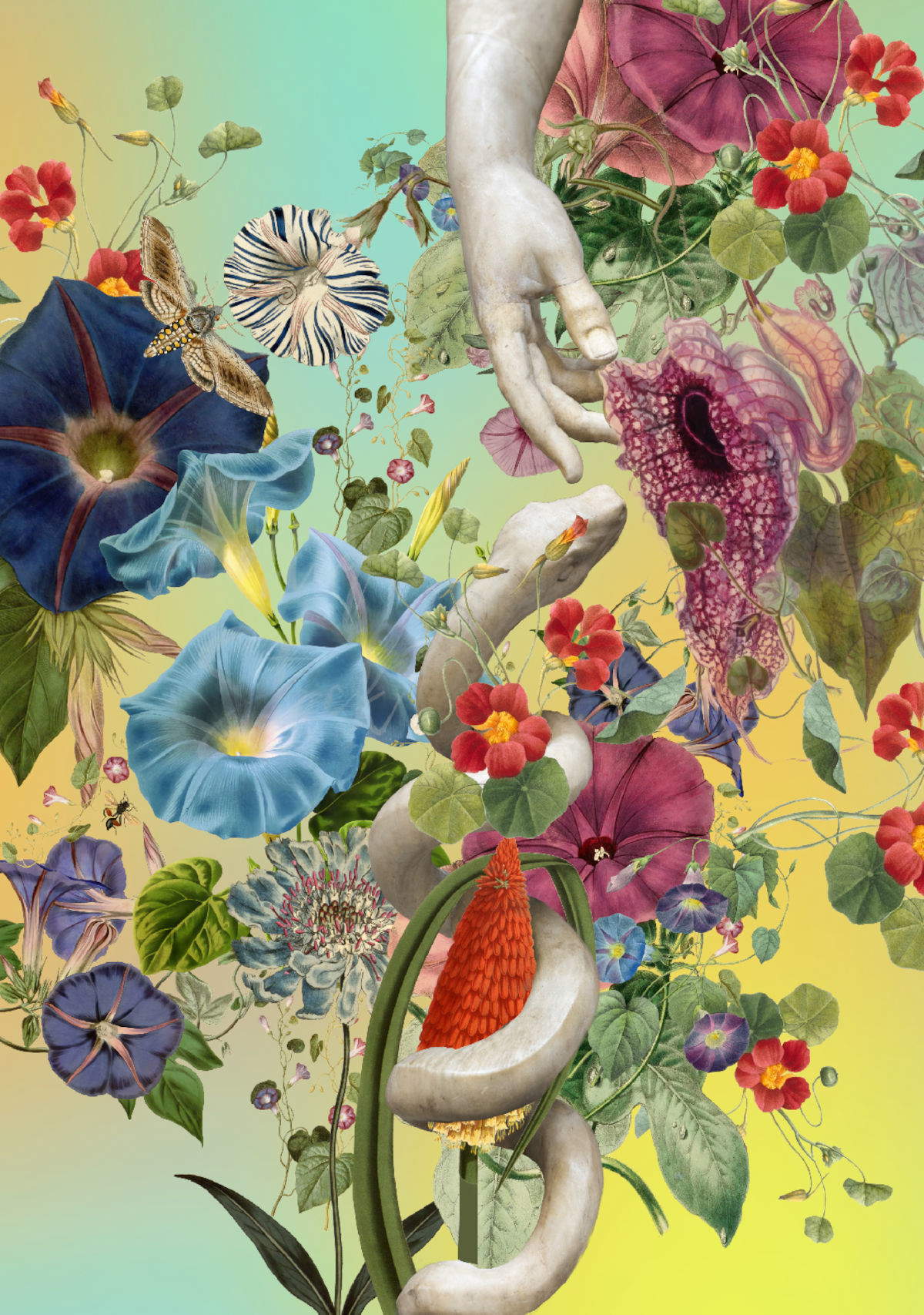 Austin Young, The Garden (2025 ; collage numérique sur papier aquarelle, 70 x 100 cm)