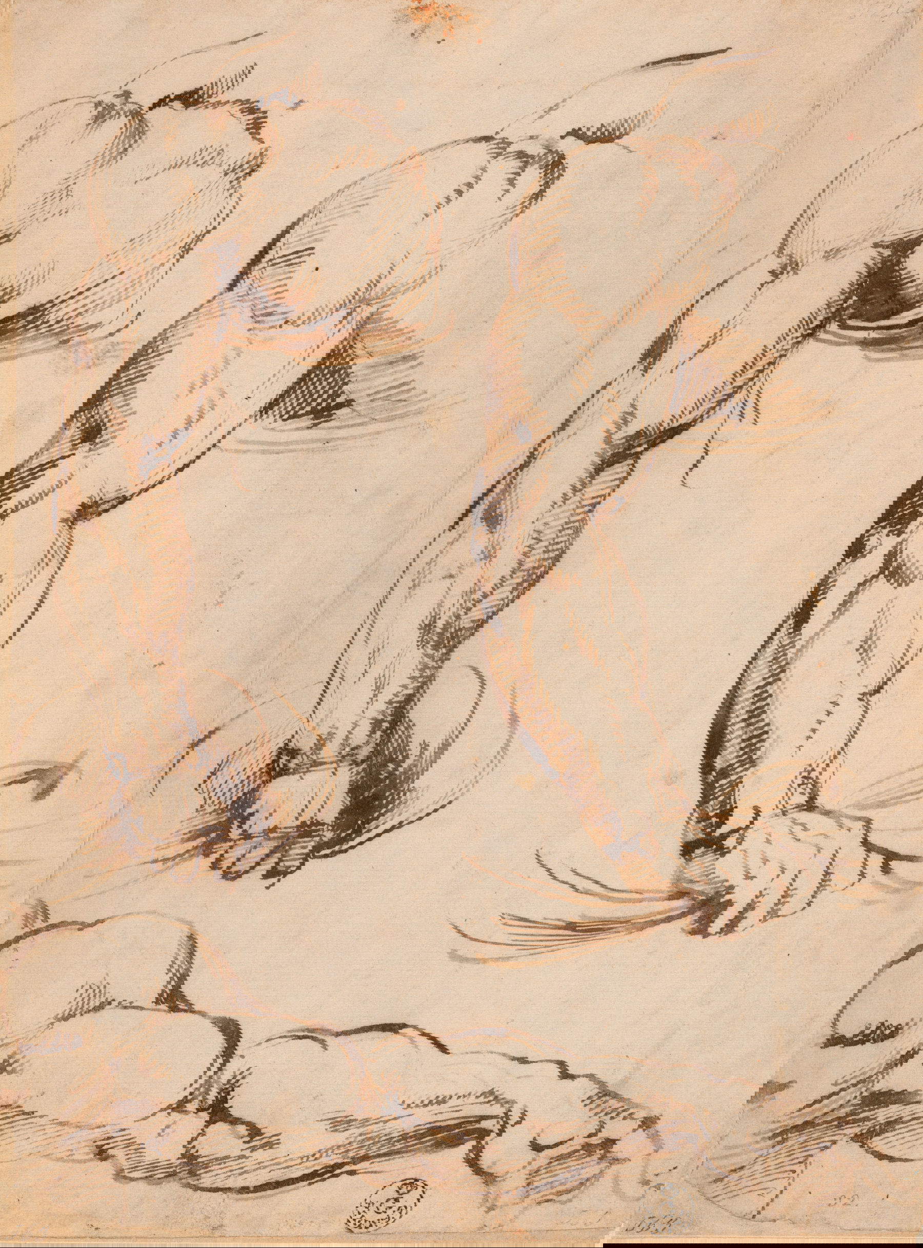 Baccio Bandinelli, Studi di braccia (Prima met&agrave; sec. XVI; Firenze, Uffizi, Gabinetto Disegni e Stampe)