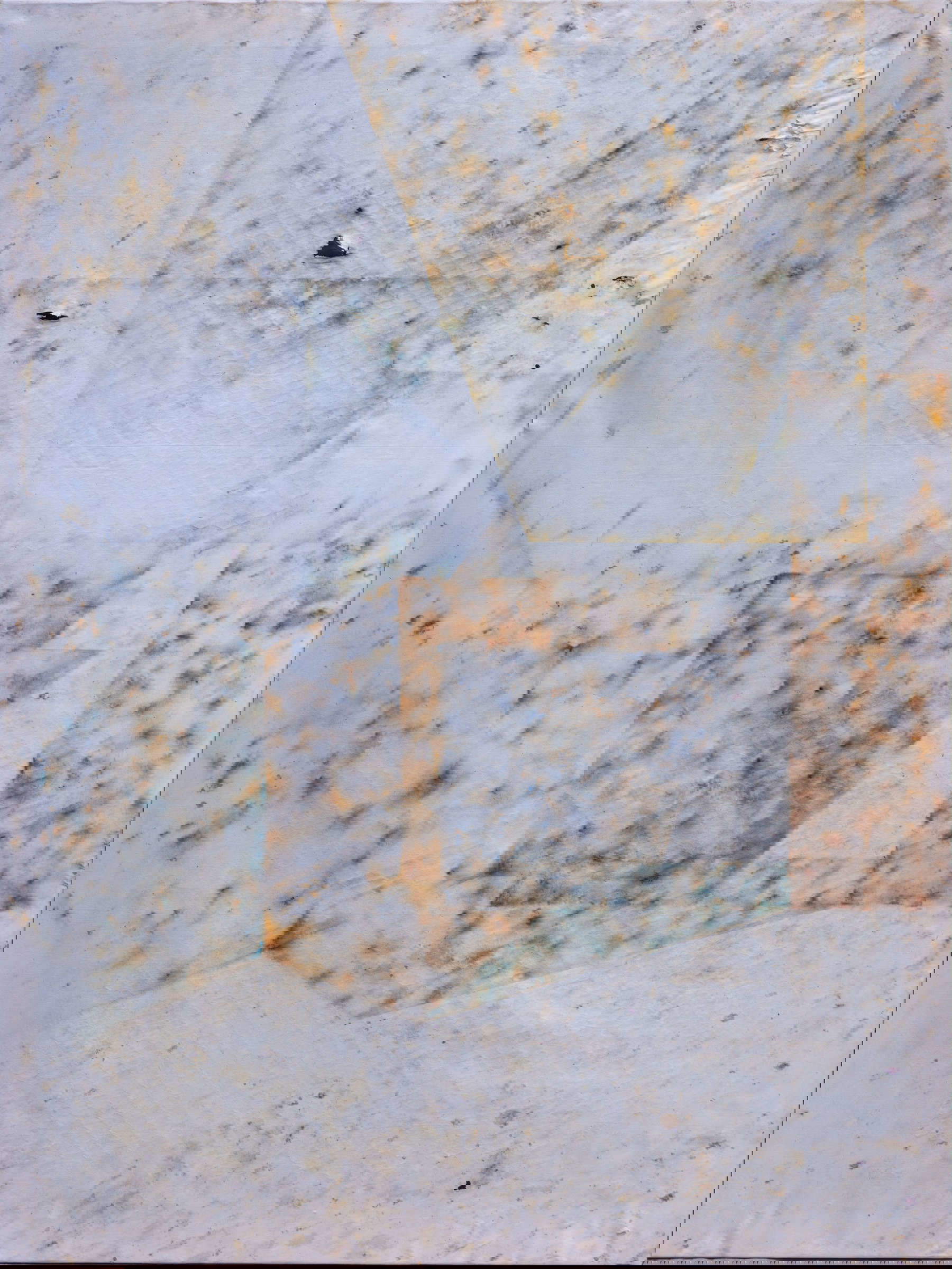 Barbara Visciano, Segmenti di Tempo (2025; Öl auf Leinwand, Luft, Feuchtigkeit, Erde, Insekten, Pflanzen, Mineralien und Zeit ausgesetzt, 160 x 120 cm)