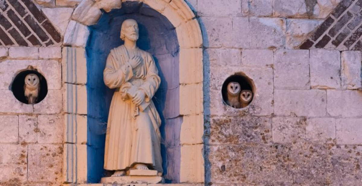 Le photographe d'oiseaux de l'année fait ses débuts en Italie à la Forteresse de Bard