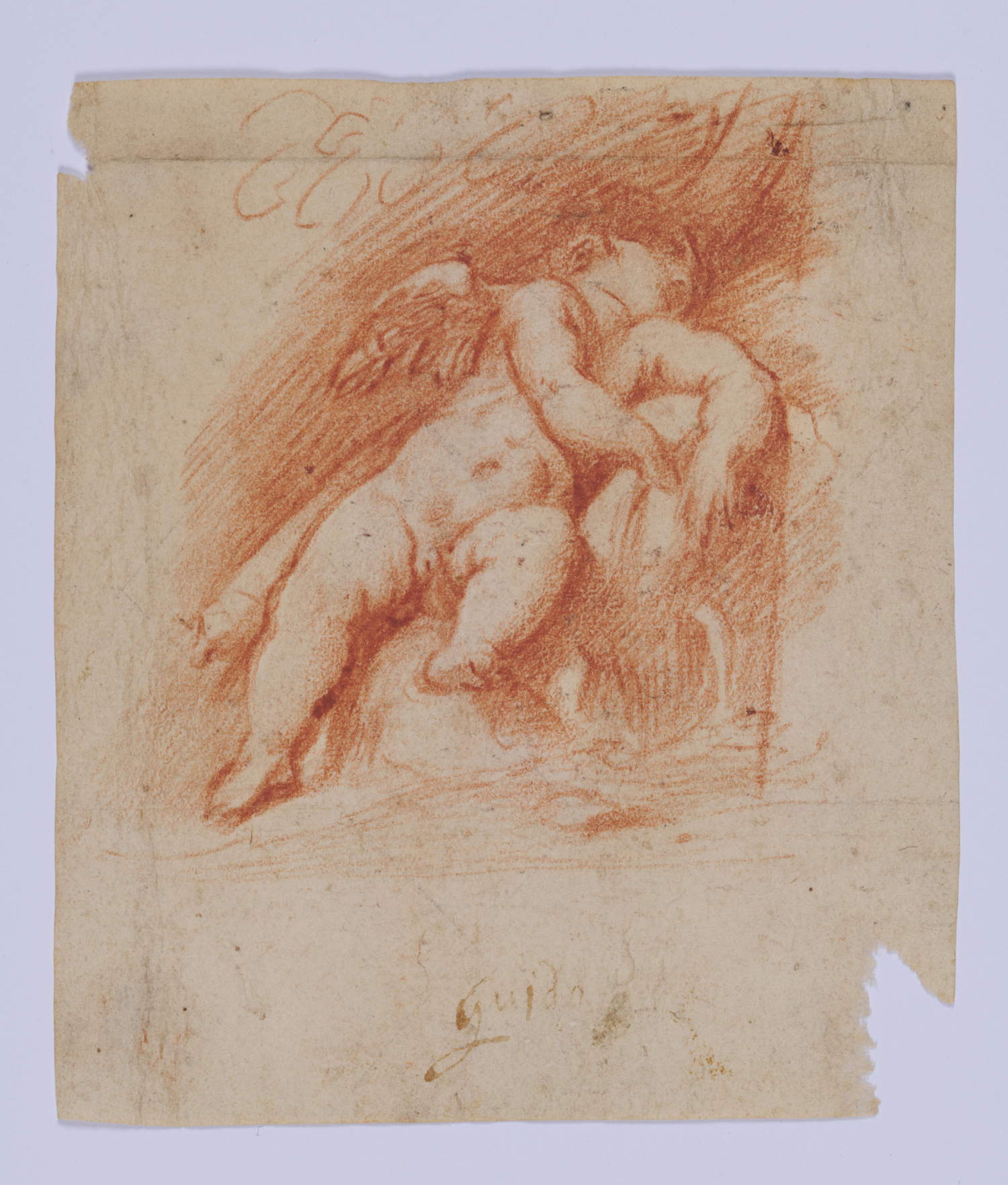Bernardino Campi, Study for the Little Sleeping Cupid (c. 1582 - 1584; red pencil on paper; Abano Terme, Museo Villa Bassi Rathgeb)
