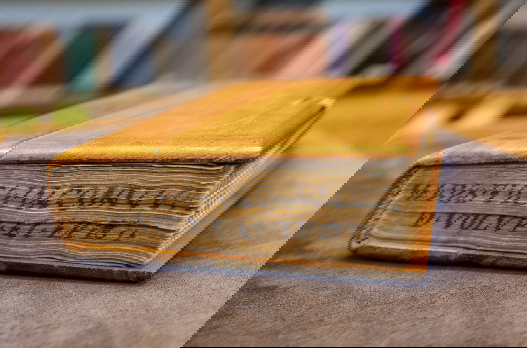 Marsilio Ficino, Commentarium in Convivium Platonis De Amore, manoscritto su carta, ca. 1475  &copy; Kunsthistorisches Institut in Florenz &ndash; Max-Planck-Institut / Foto: B&auml;rbel Reinhard