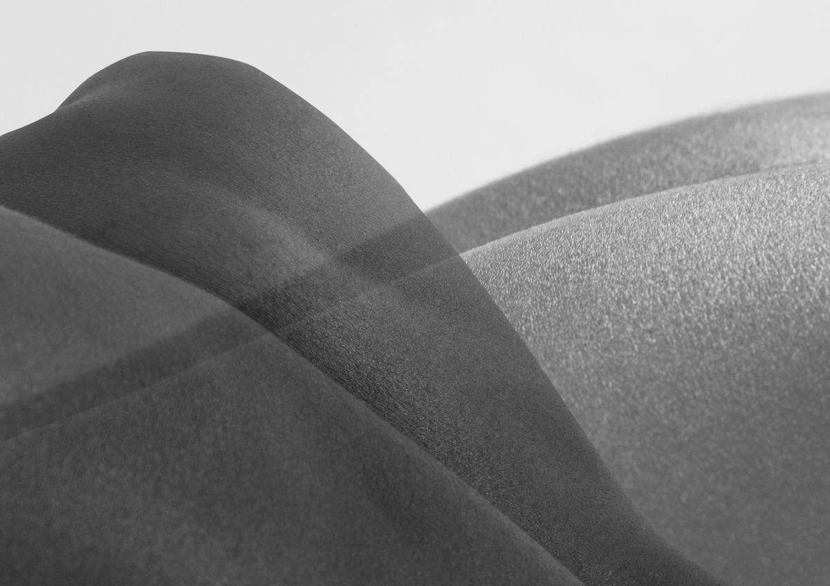 Binta Diaw, Paysage Corporel -Nature I (2023 ; impression jet d'encre sur papier coton monté sur dibond, 70 x 105 cm)