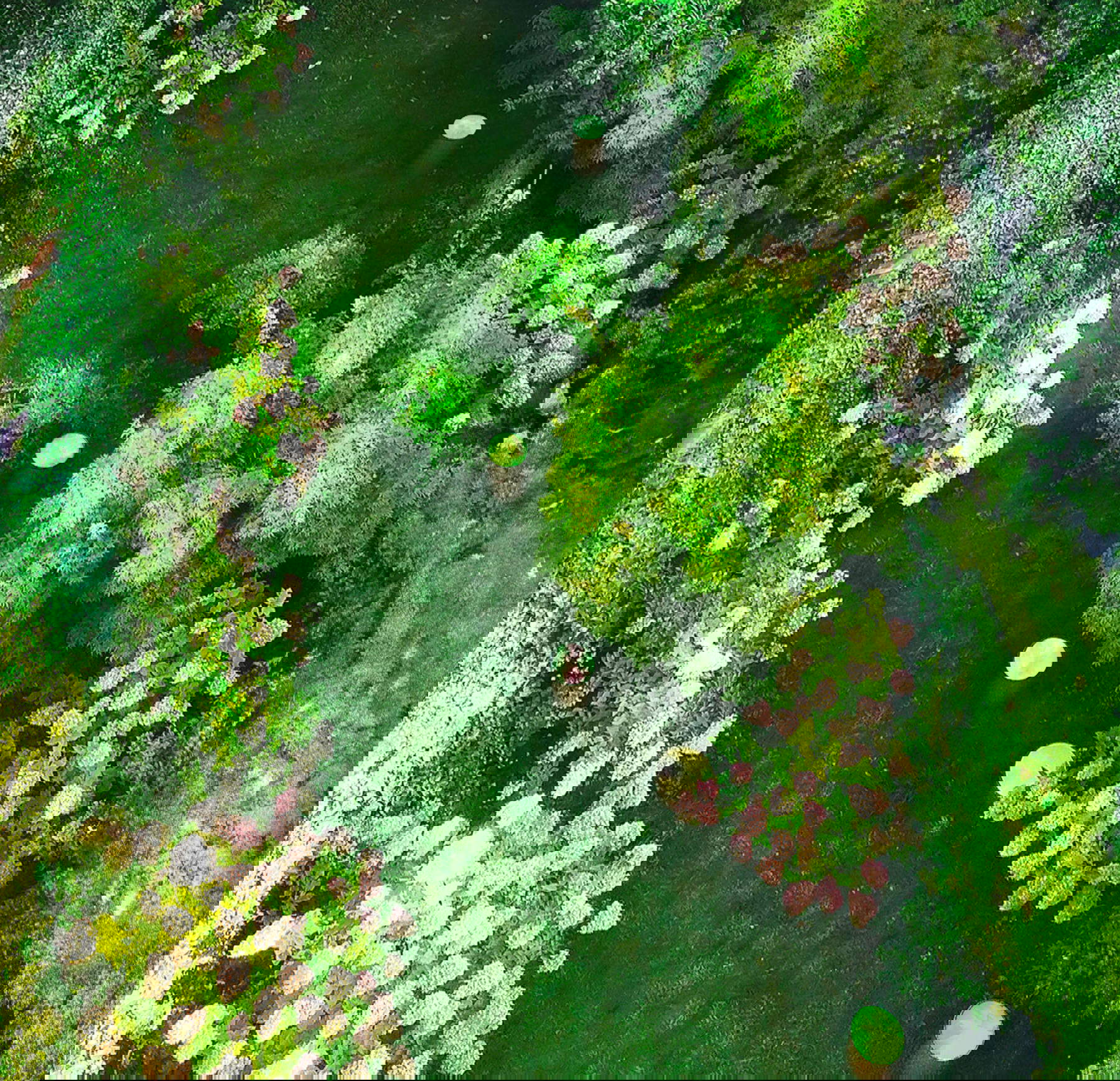 La Maison Bottazzi, Garden Party