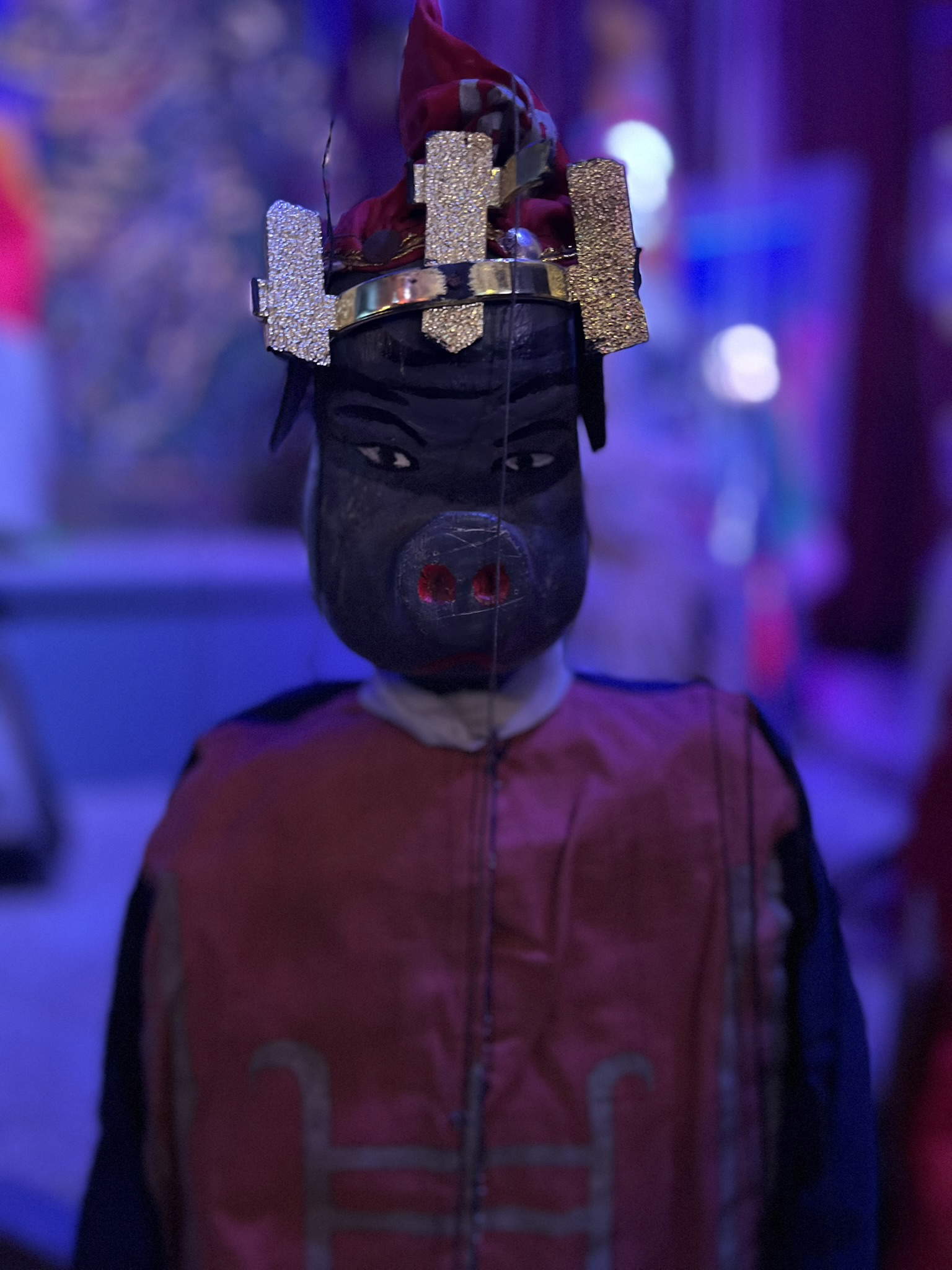 I burattini a Casa Gianduja