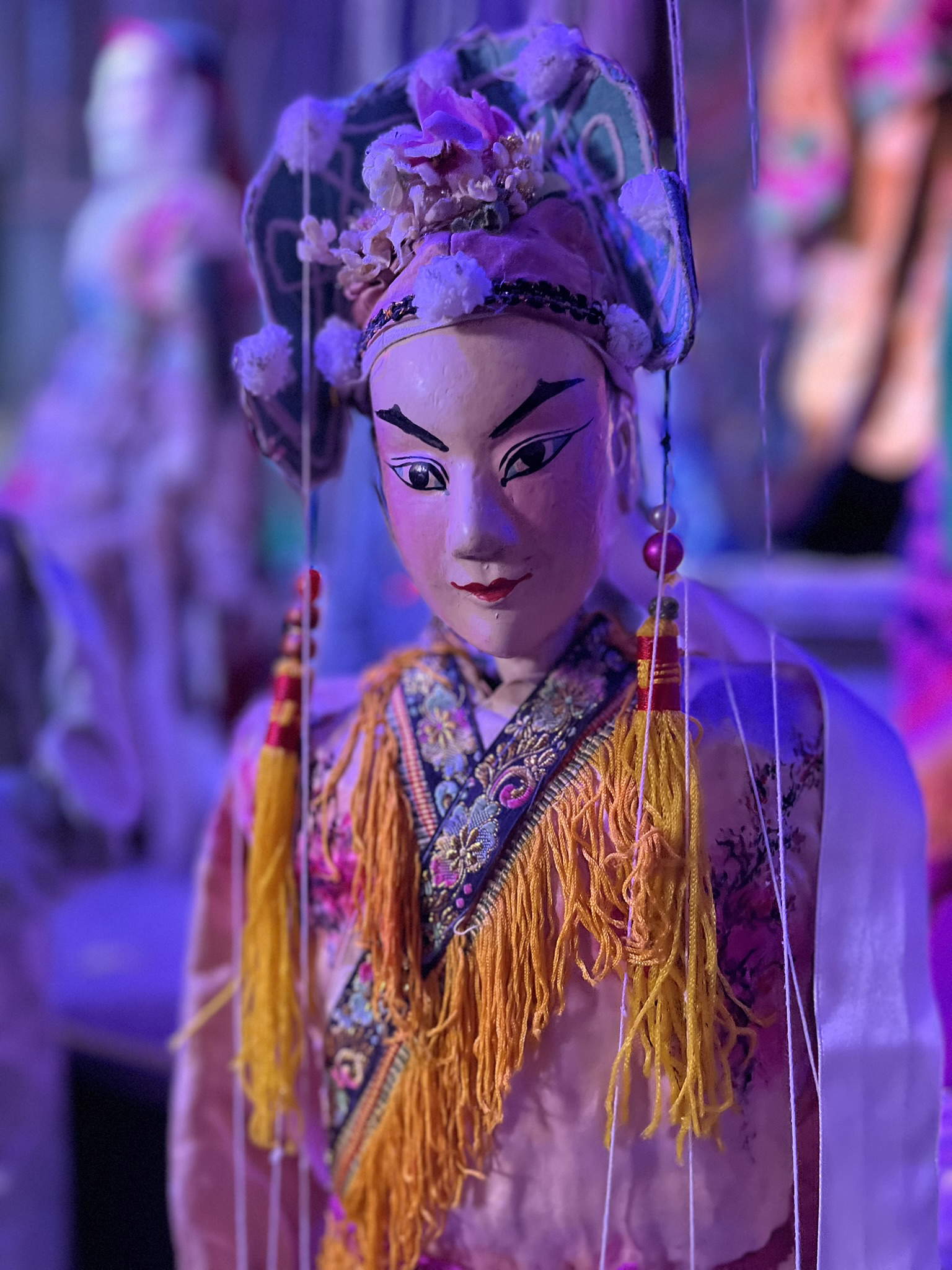 I burattini a Casa Gianduja