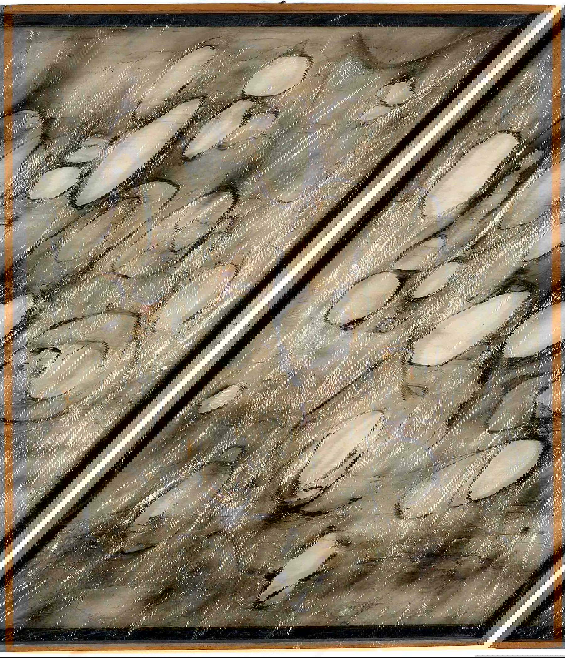 Alberto Burri, Plastica (1962; plastica, combustione su telaio in alluminio, 100 x 86 cm; Collezione privata). Foto: A. Sarteanesi, Citt&agrave; di Castello &copy; Fondazione Palazzo Albizzini Collezione Burri, Citt&agrave; di Castello; 2025, ProLitteris, Z&uuml;rich