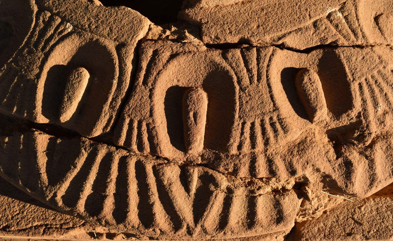 Detail der dorischen Kapitelle mit der Reliefdekoration des unteren Teils (Echinos) mit Lotosmotiven. Foto: &copy;Ministerium für Kultur
