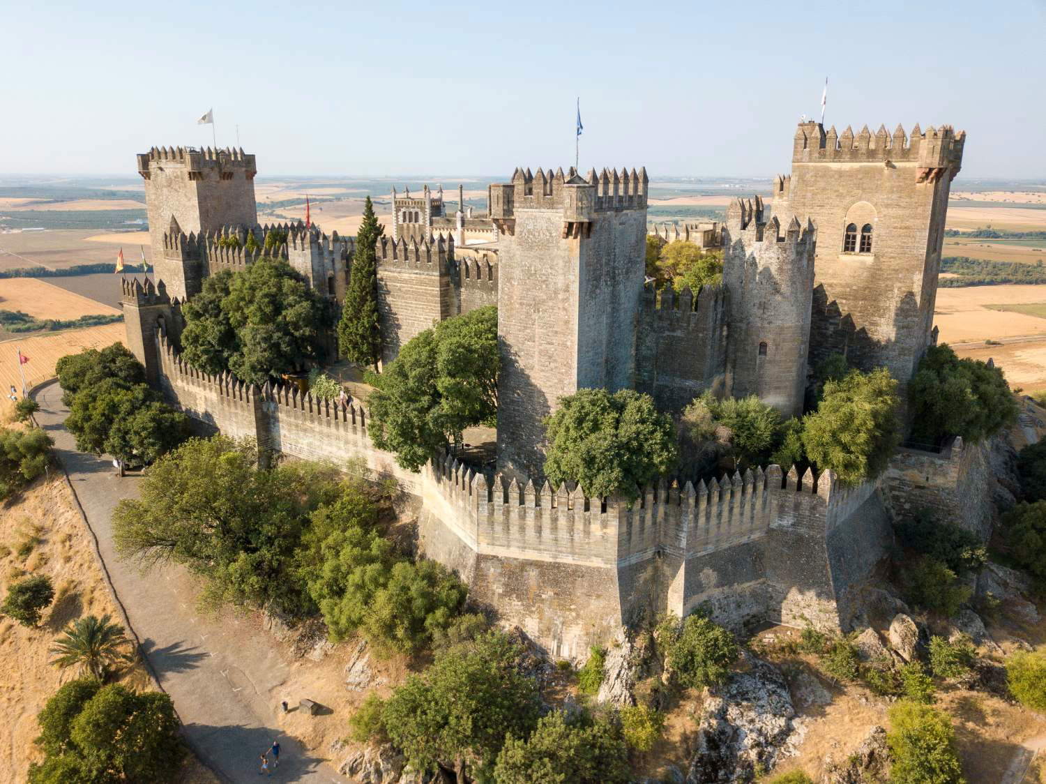 その他 Discoveries Spain: Castles Cathedrals &amp; Roman Ruin [DVD] Amazon.com: Secrets of Britain's Great Cathedrals DVD : n/a