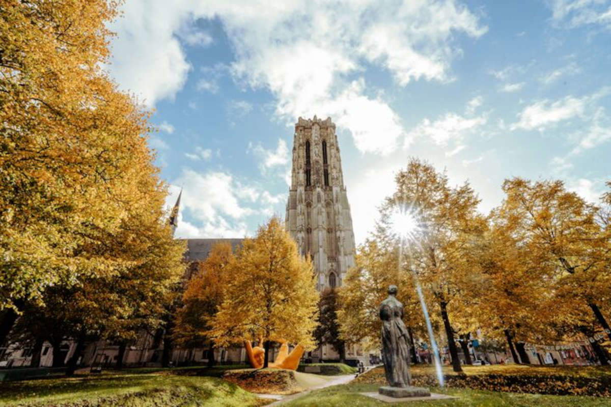 Mechelen Cathedral. Photo: Stef Keynen Mechelen Cathedral. Photo: Stef Keynen