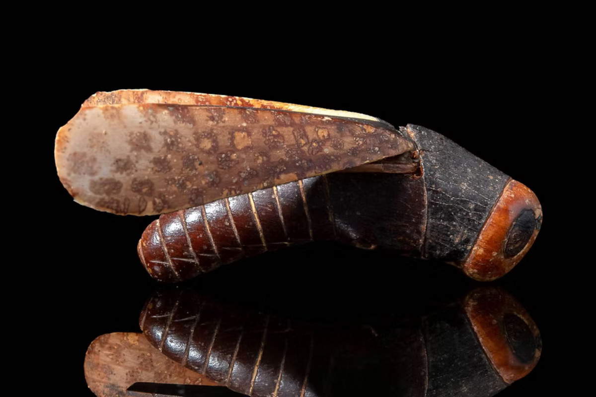 Il contenitore cosmetico egiziano in avorio e legno a forma di cavalletta