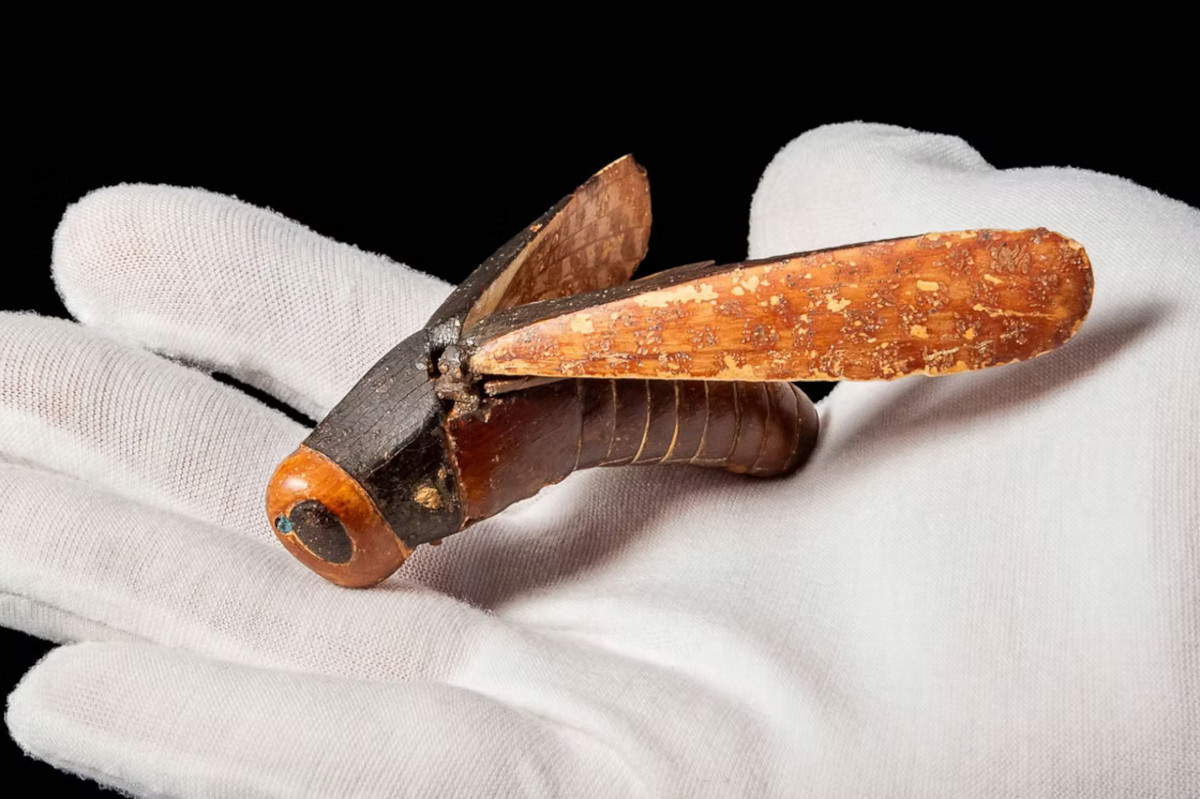 Il contenitore cosmetico egiziano in avorio e legno a forma di cavalletta