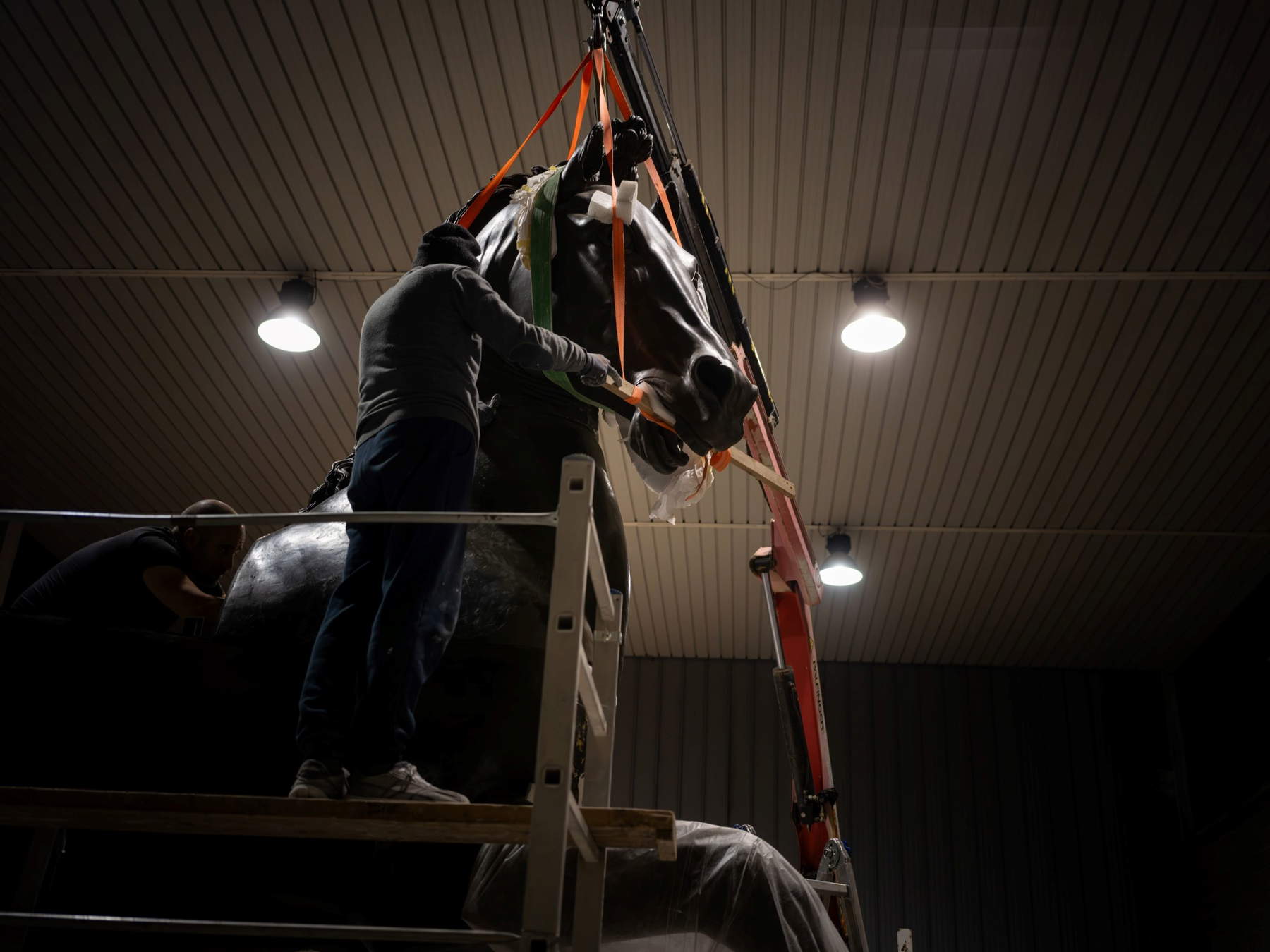 Canova's Colossal Horse comes back to life after more than 50 years in storage &copy; Joan Porcel Studio