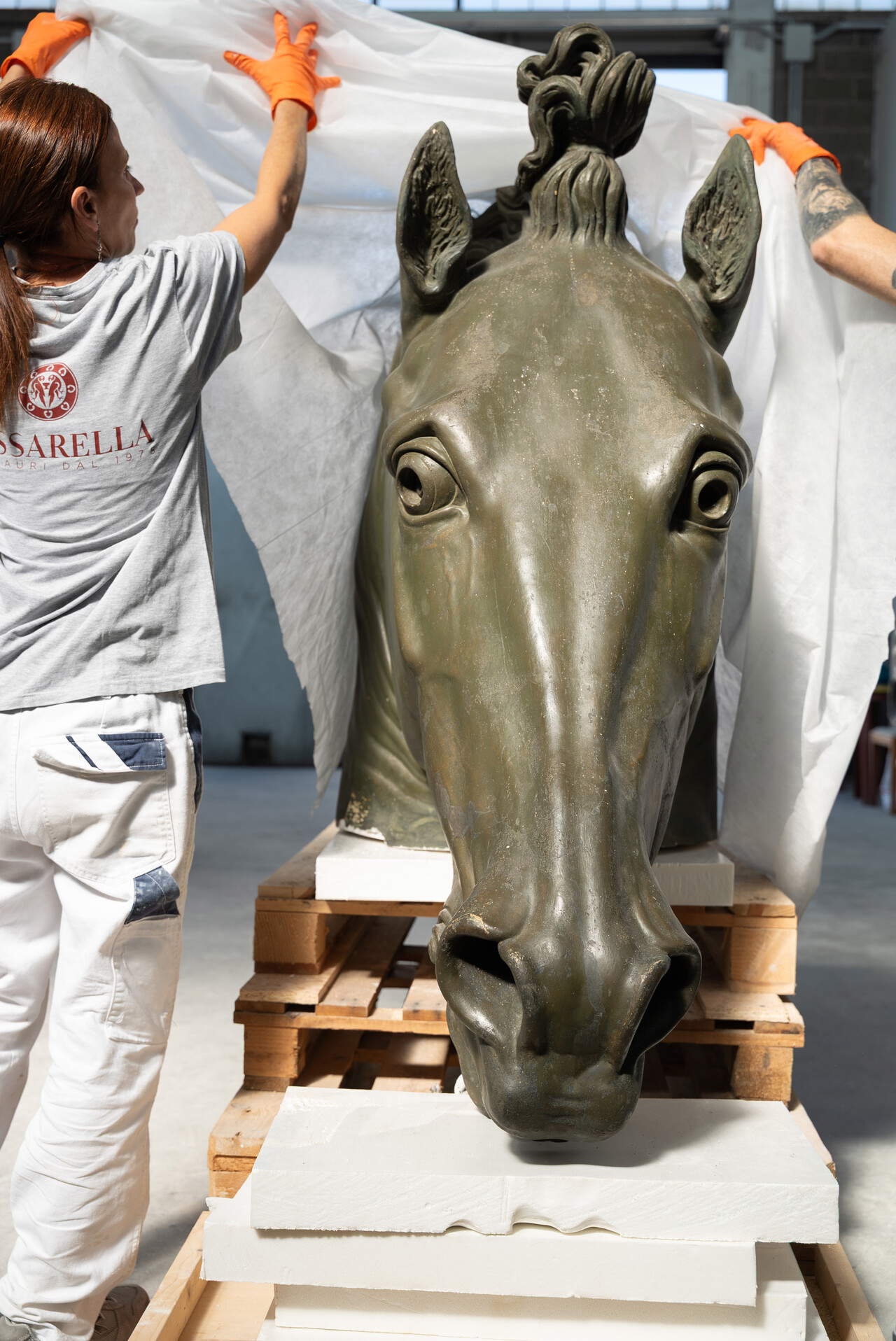 Canova's Colossal Horse comes back to life after more than 50 years in storage &copy; Joan Porcel Studio &ndash; Ilaria Zago