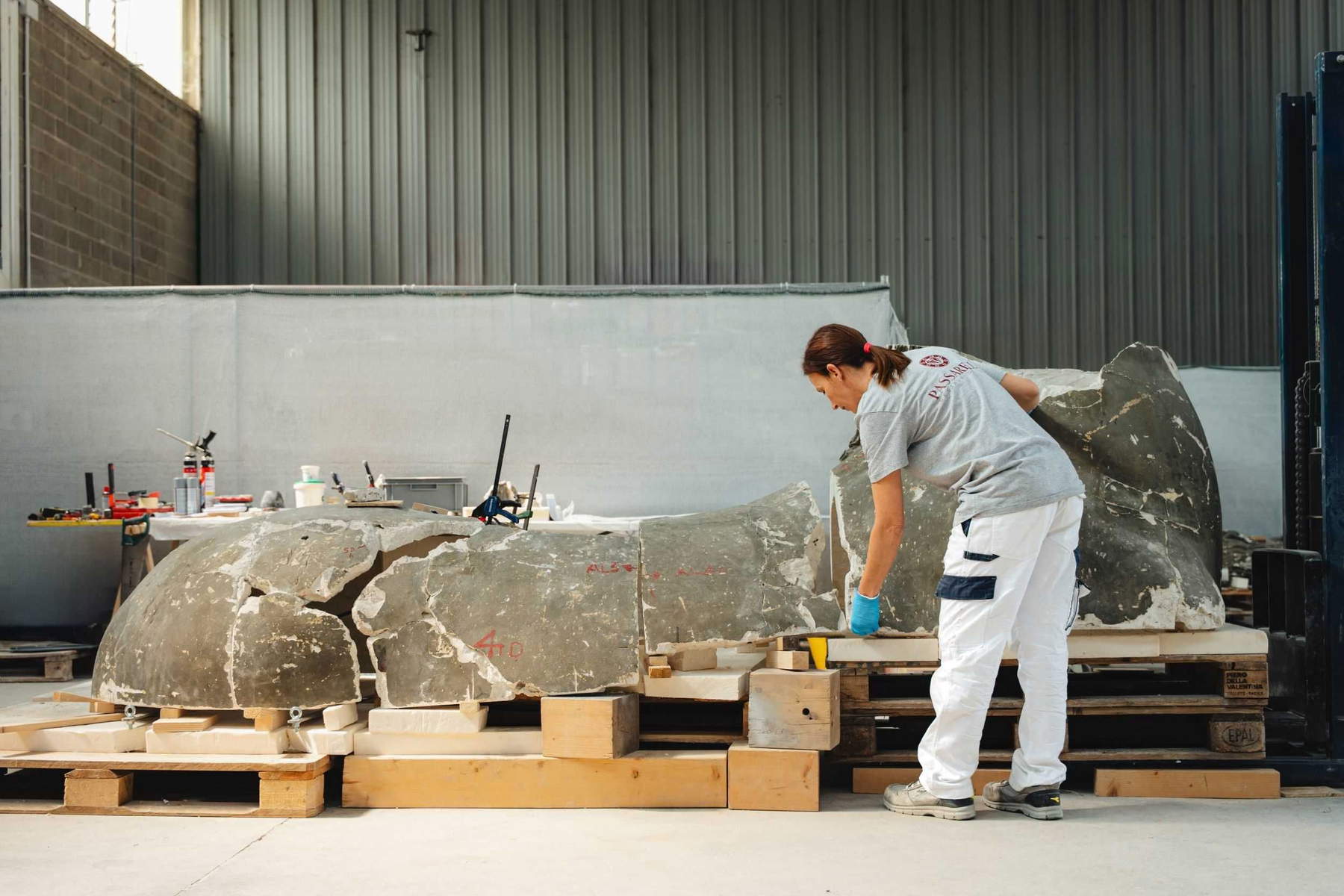 Canova's Colossal Horse comes back to life after more than 50 years in storage &copy; Joan Porcel Studio &ndash; Ilaria Zago