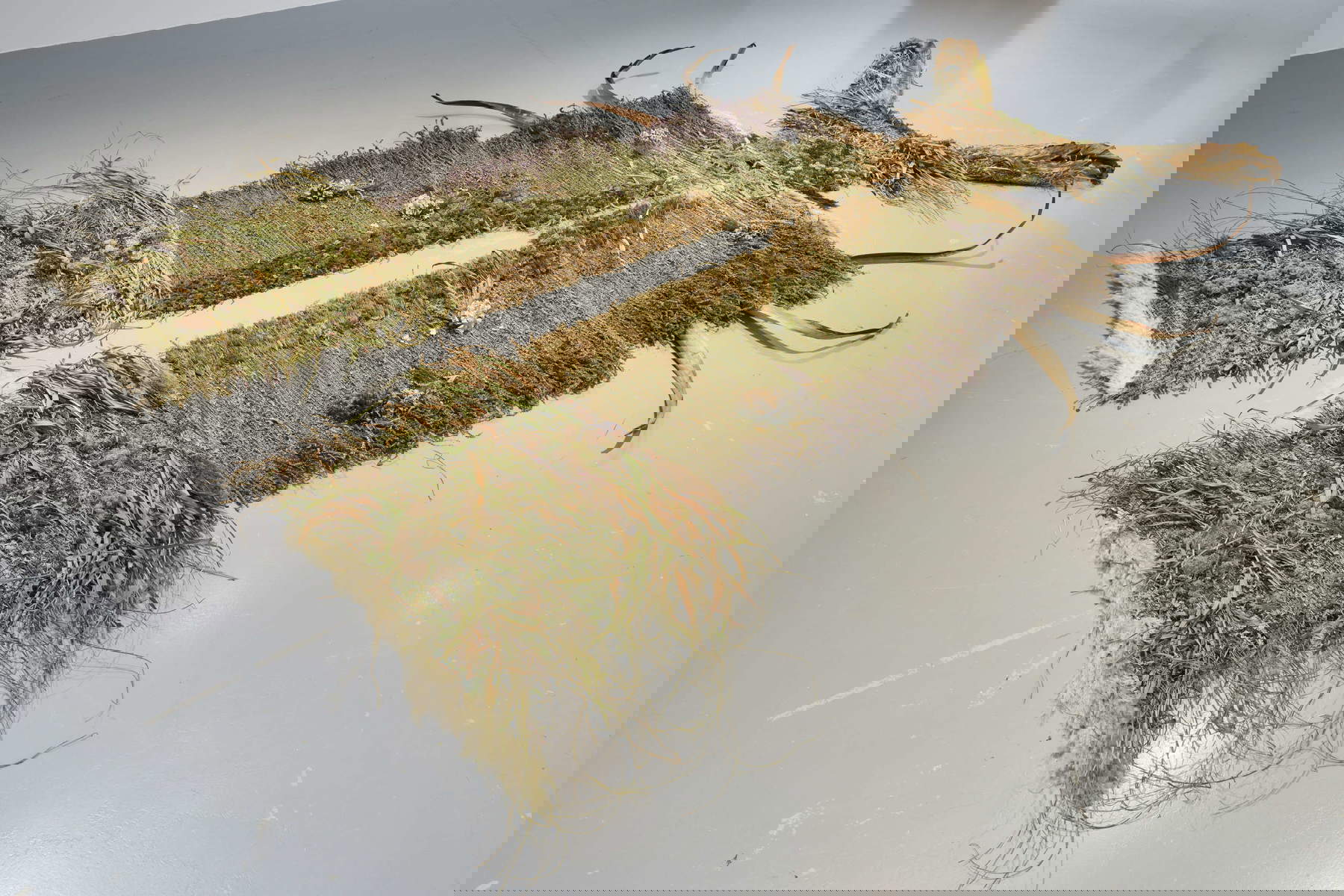 Chiara Camoni, Living Room (2022; Blumen, Blätter, Wildkräuter, Baumwolle und Hanf, glasierte Keramik mit pflanzlicher Asche, 300 x 150 x 30 cm)