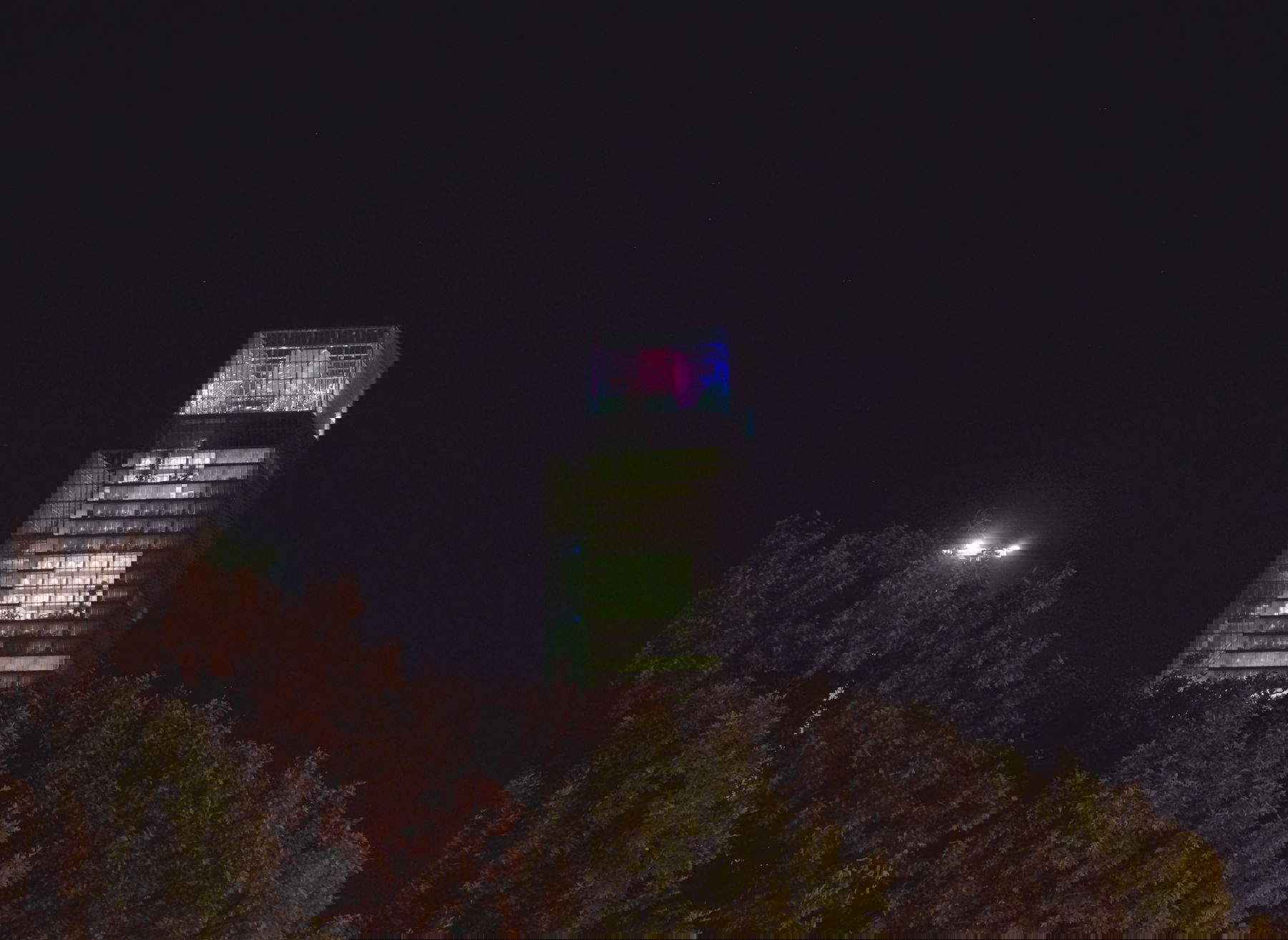 Chiara Camoni, Swarms (Sciami). Foto: Alessandro Muner