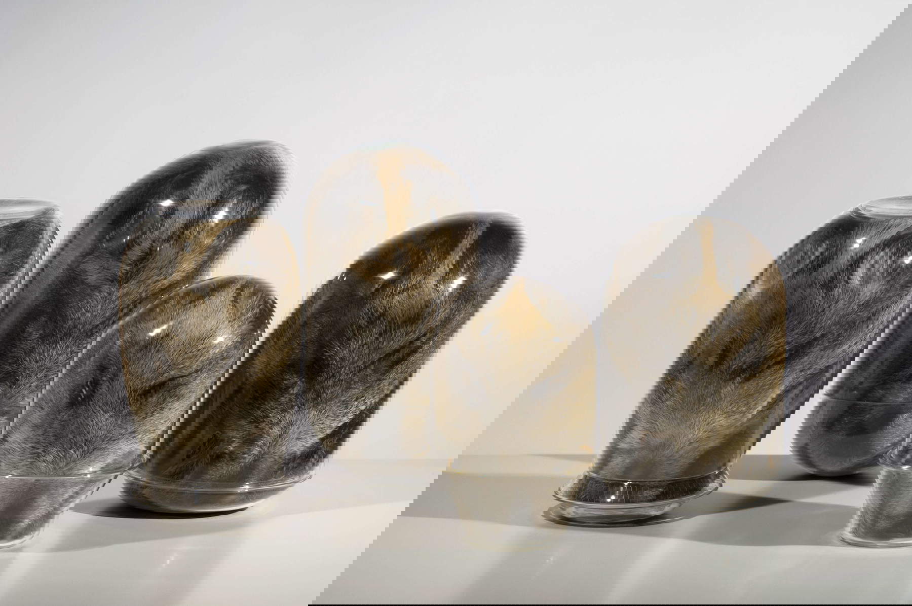 Chiara Lecca, Masques (2016 ; verre, lambeaux de peau de sanglier, dimensions diverses). Avec l'aimable autorisation de l'artiste et de la Galleria Fumagalli Milan. Photo : Olimpia Lalli