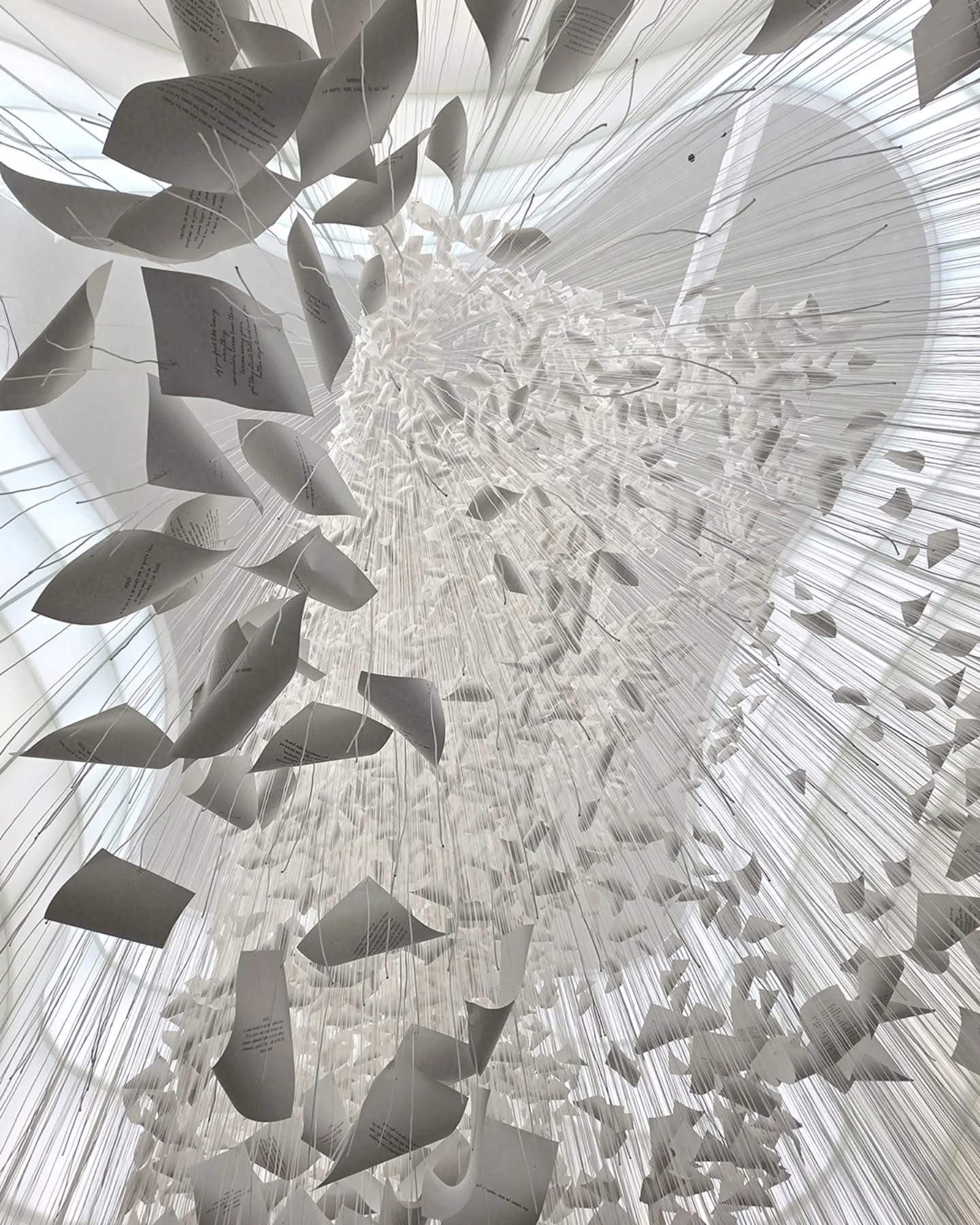 The Moment the Snow Melts