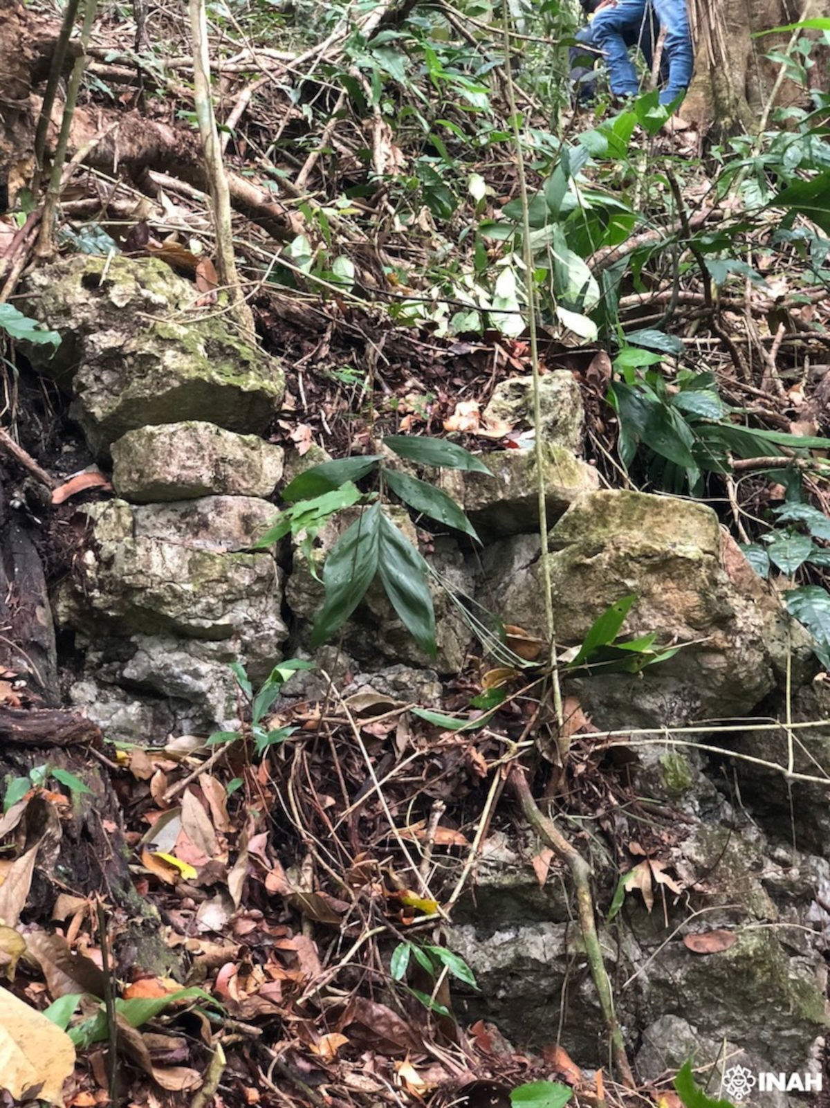 Scoperta nel Chiapas (Sud del Messico) la possibile ultima citt&agrave; dei Maya ribelli: forse &egrave; Sak-Bahl&aacute;n. Foto: Josuh&eacute; Lozada, CINAH Chiapas