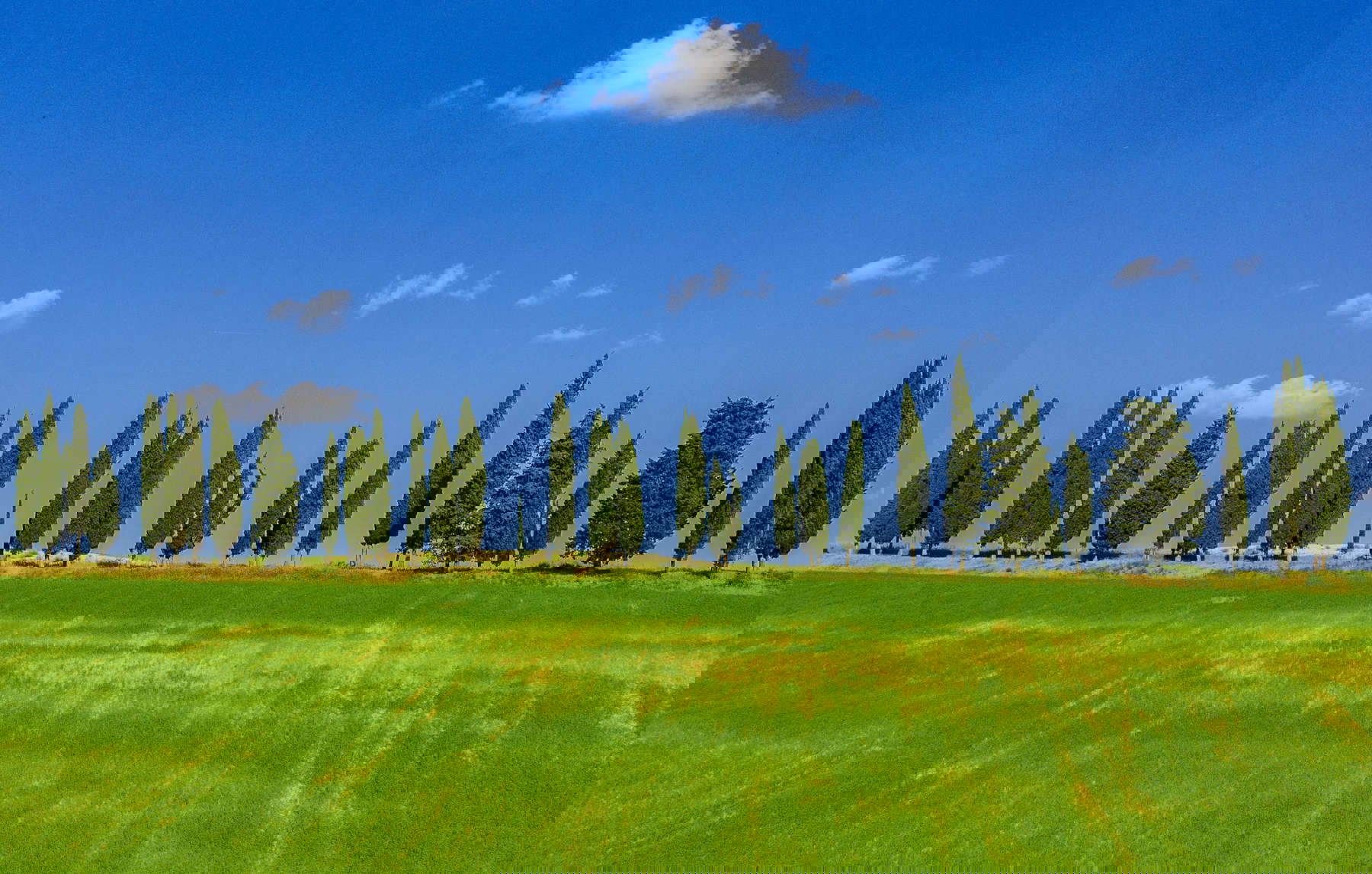 Die Hügel von Mugello. Foto: Christian Lorenz