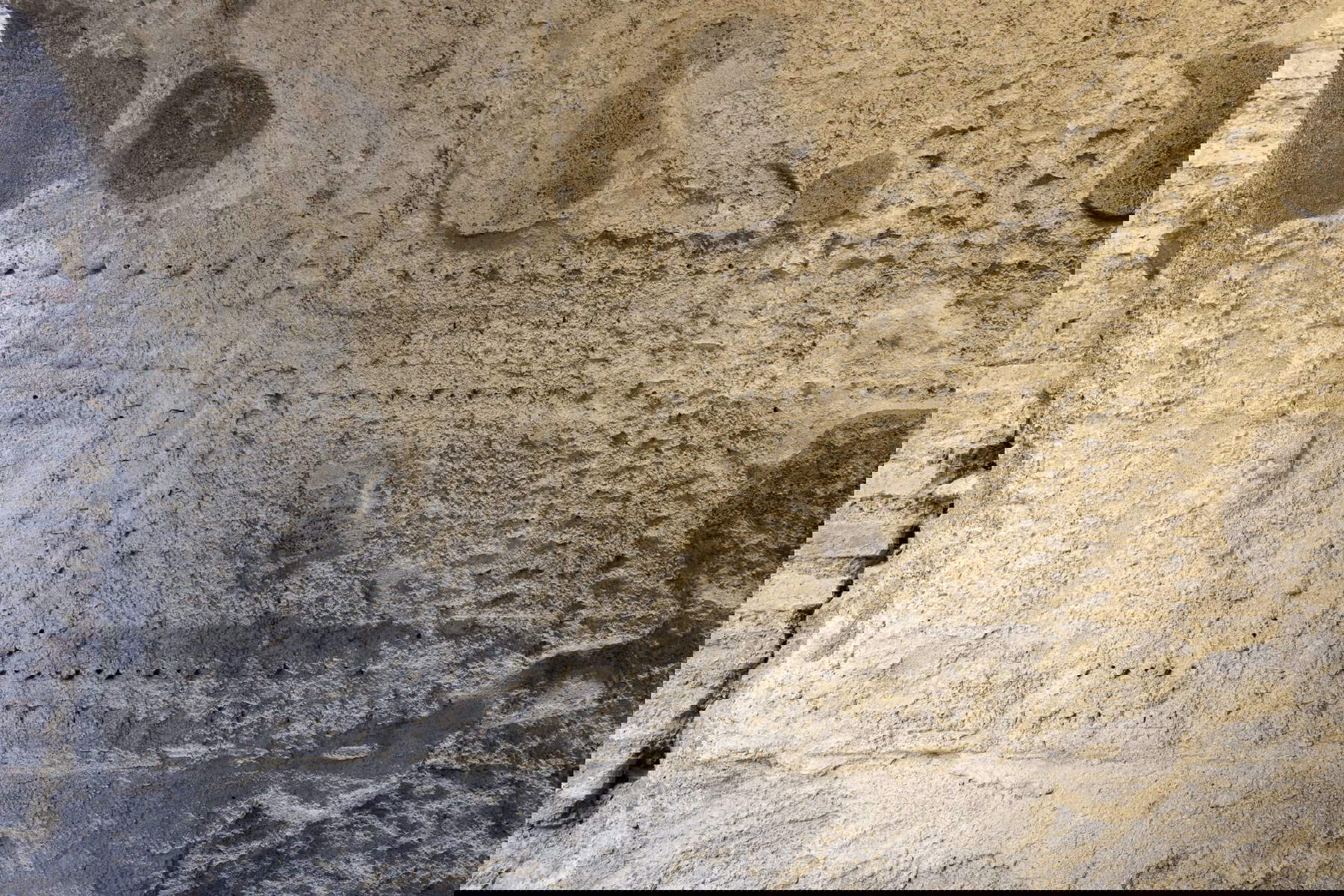 Los estucos. Foto: Simona Murrone / Parque Arqueológico del Coliseo