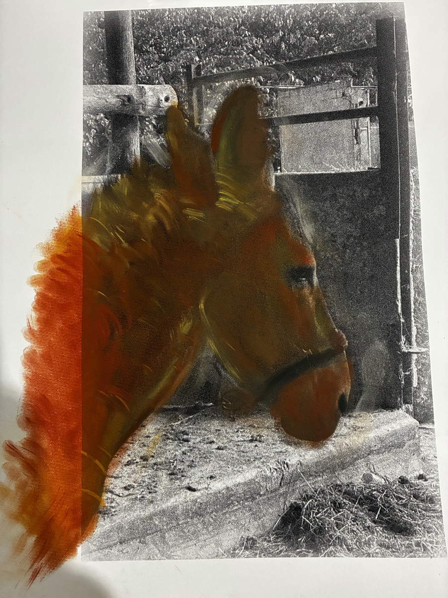 Cosimo Veneziano, Sin título 2 (fotografía con pigmento)
