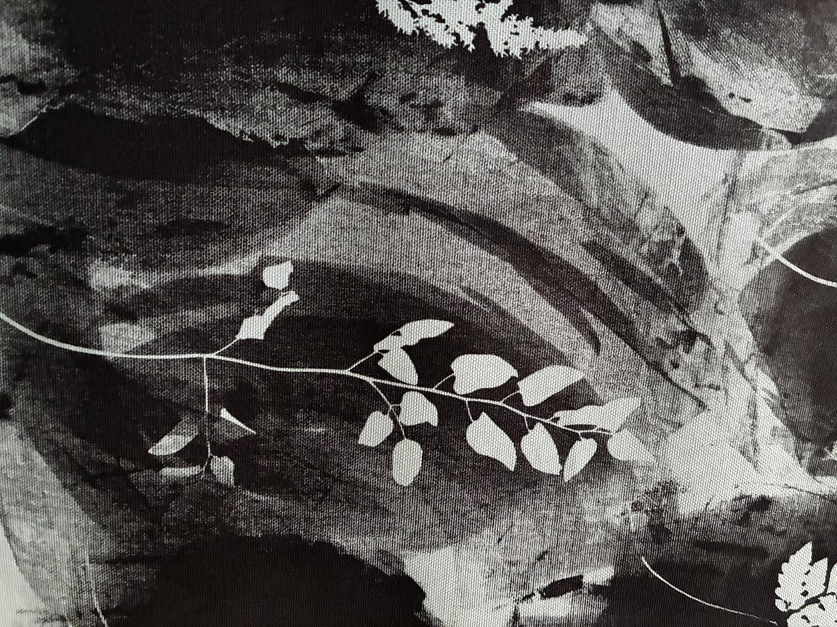 Cosimo Veneziano, Sin título 2 (serigrafía sobre tela)