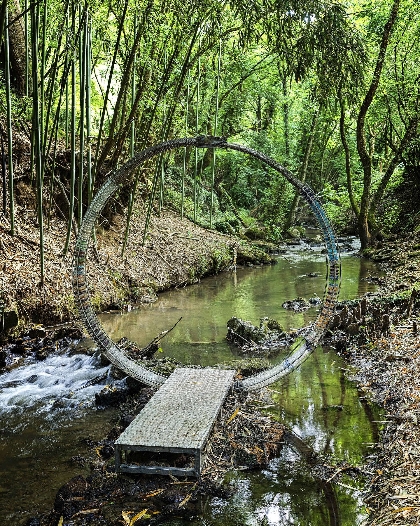 Cristiano Carotti, Regolo (2025). Foto: Sandro Vannini
