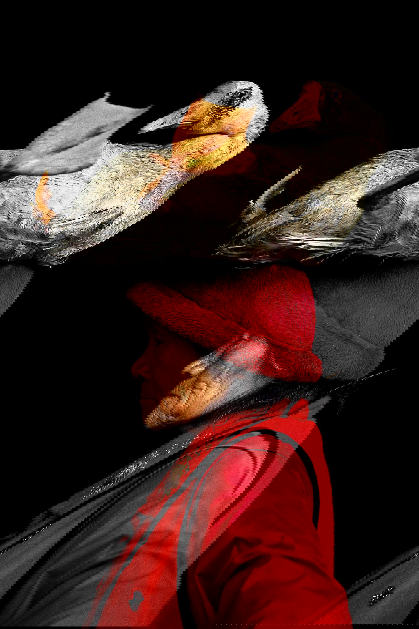 Cristina Mittermeier, province du Yunnan, Chine, 2008 &copy; Cristina Mittermeier