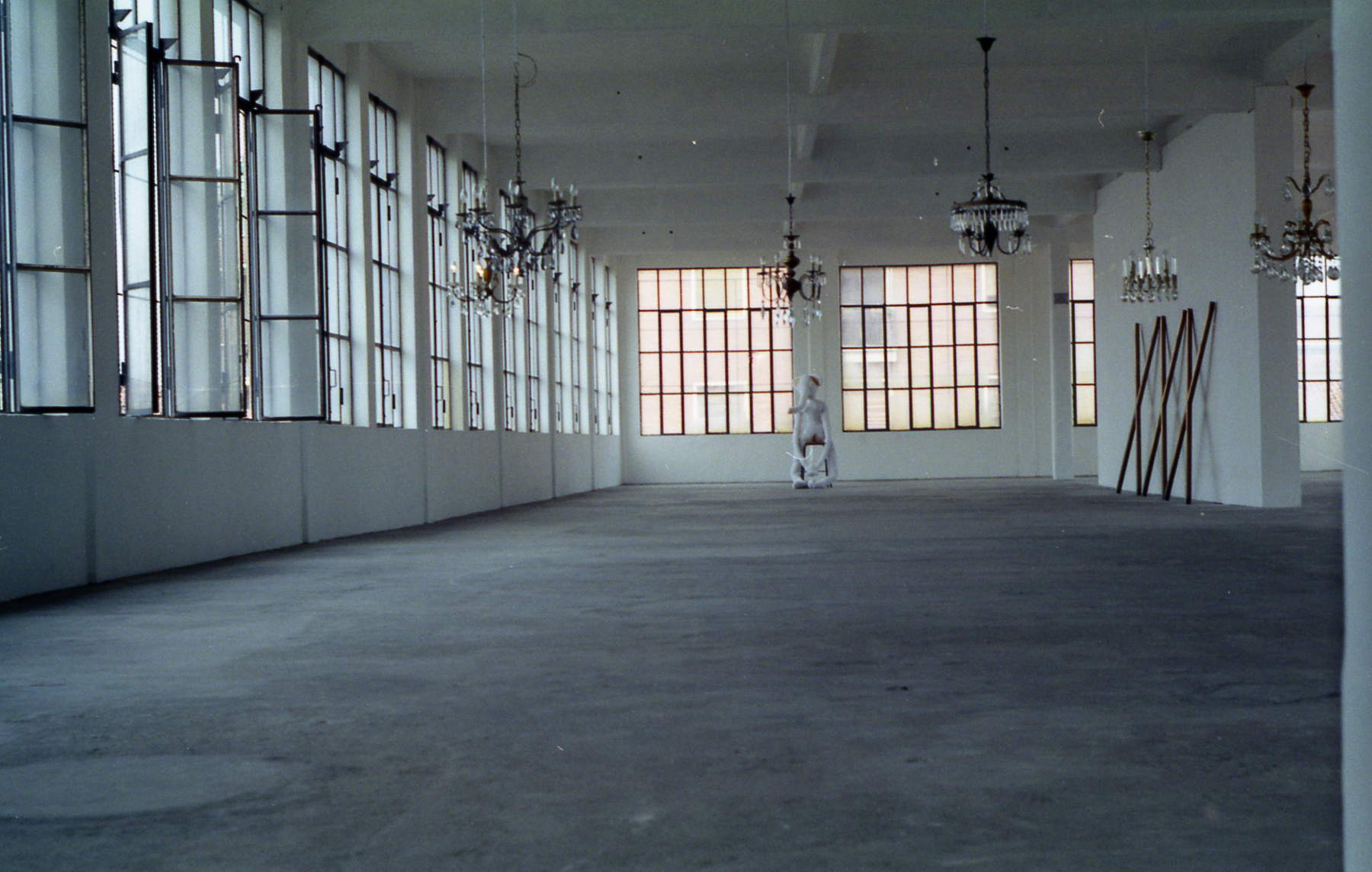 Cuoghi Corsello, Selector nº 8, la mujer elefante (1999)