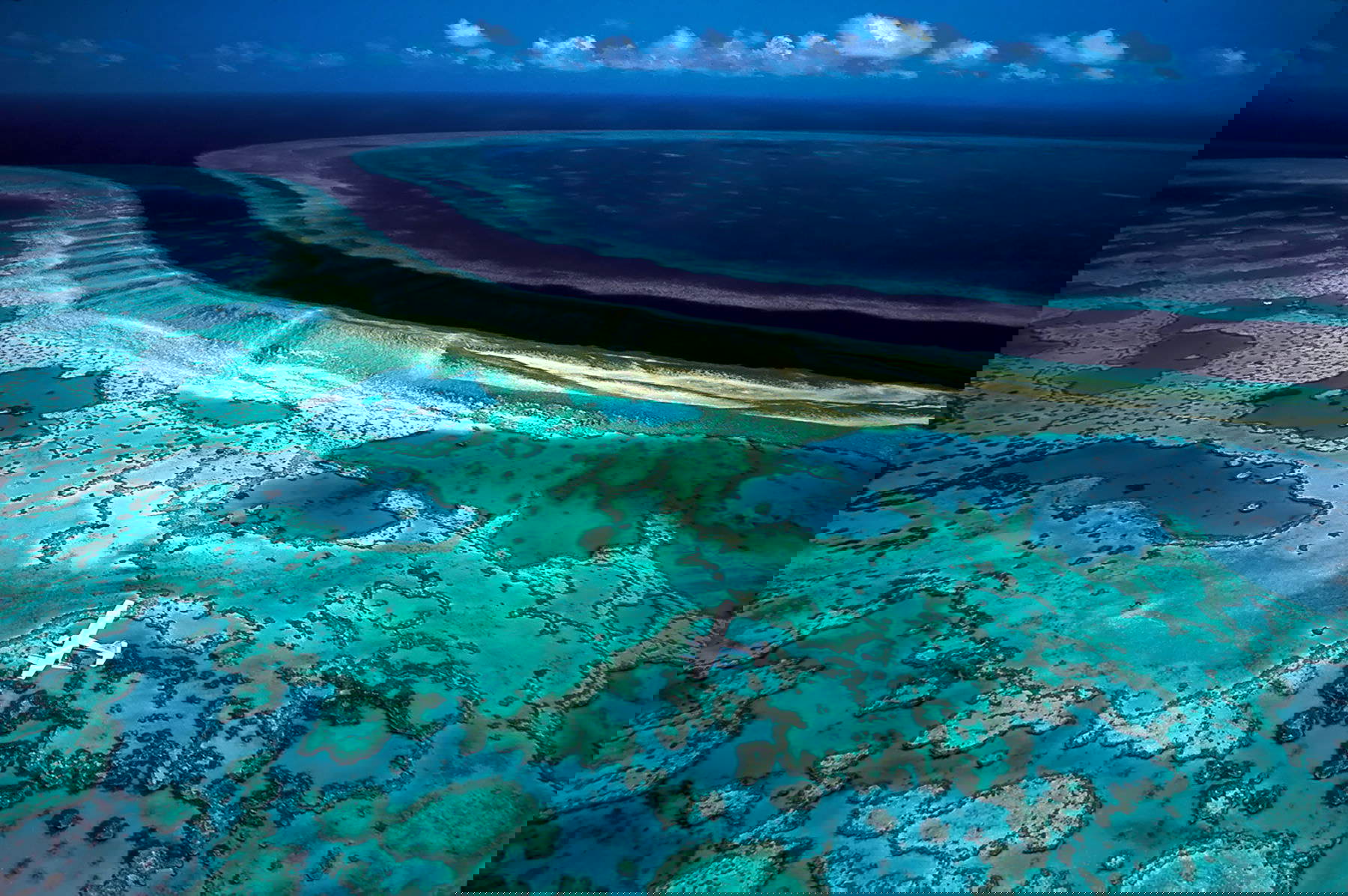 Primera exposición italiana de David Doubilet con National Geographic en Villa Bardini