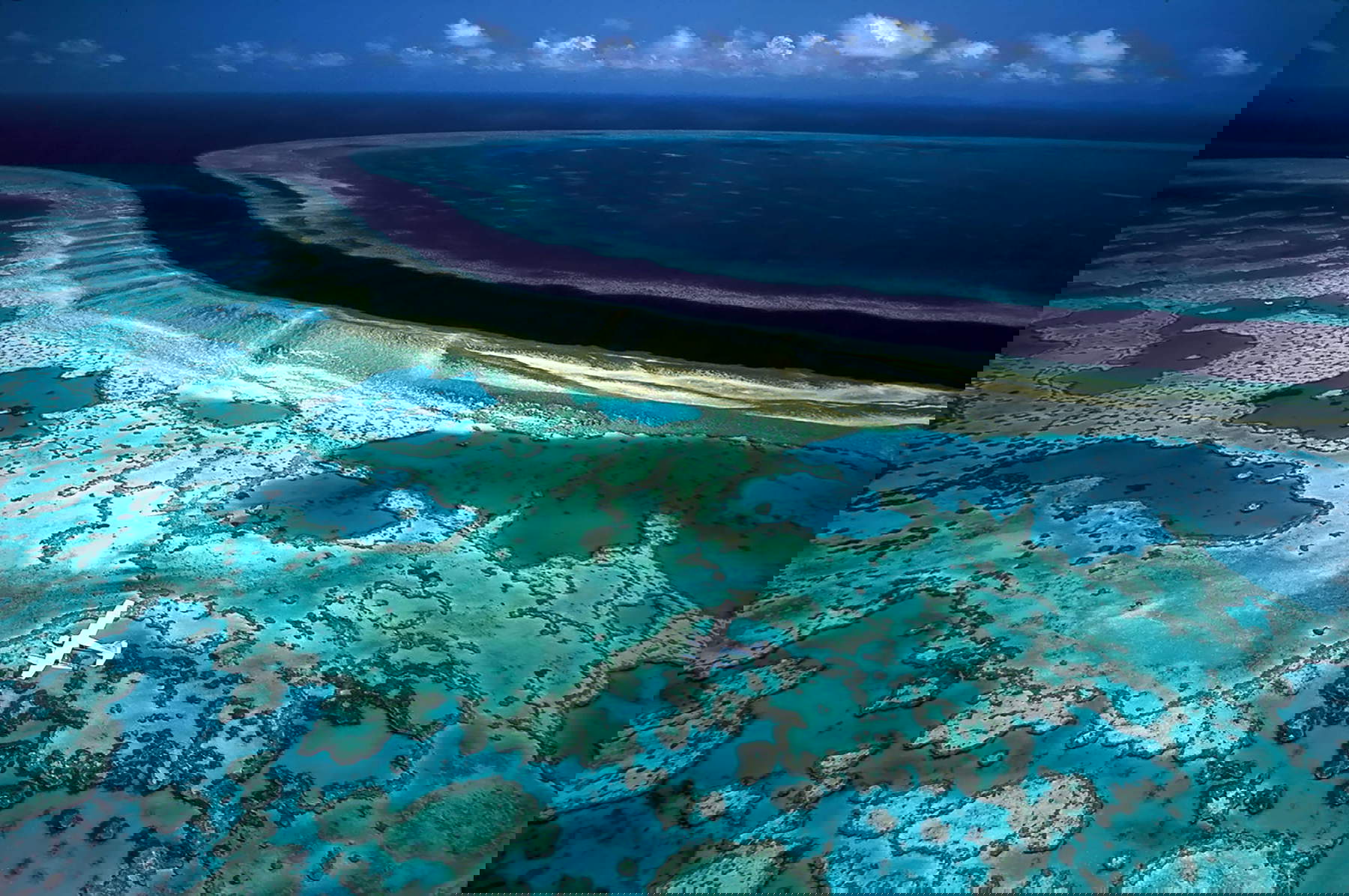 David Doubilet, Oceani