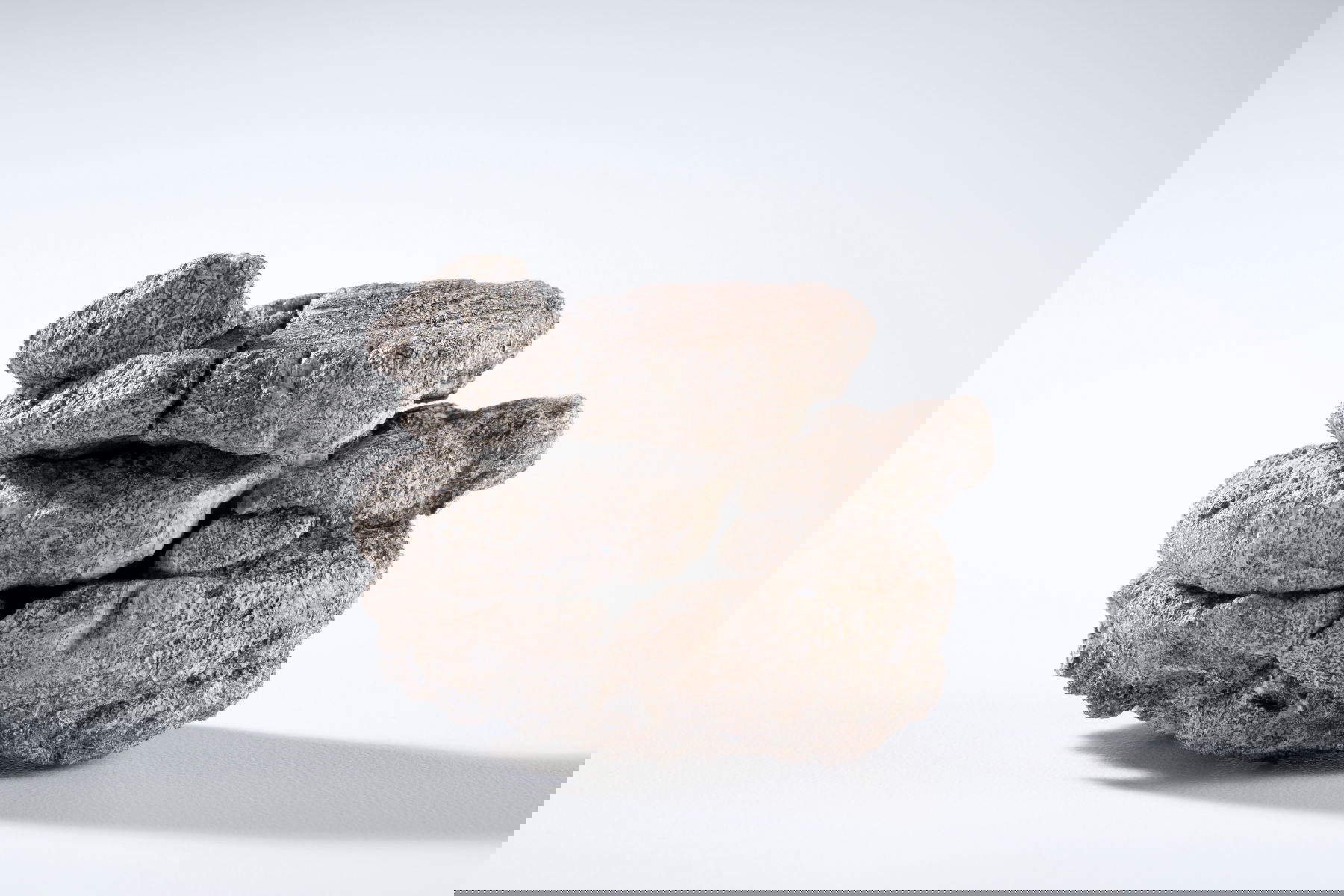 Una porzione dell'osso di dinosauro recuperato dal nucleo scientifico, scavato a 230 metri sotto la superficie del parcheggio del Museo nel City Park. &copy;Denver Museum of Nature &amp; Science/Rick Wicker