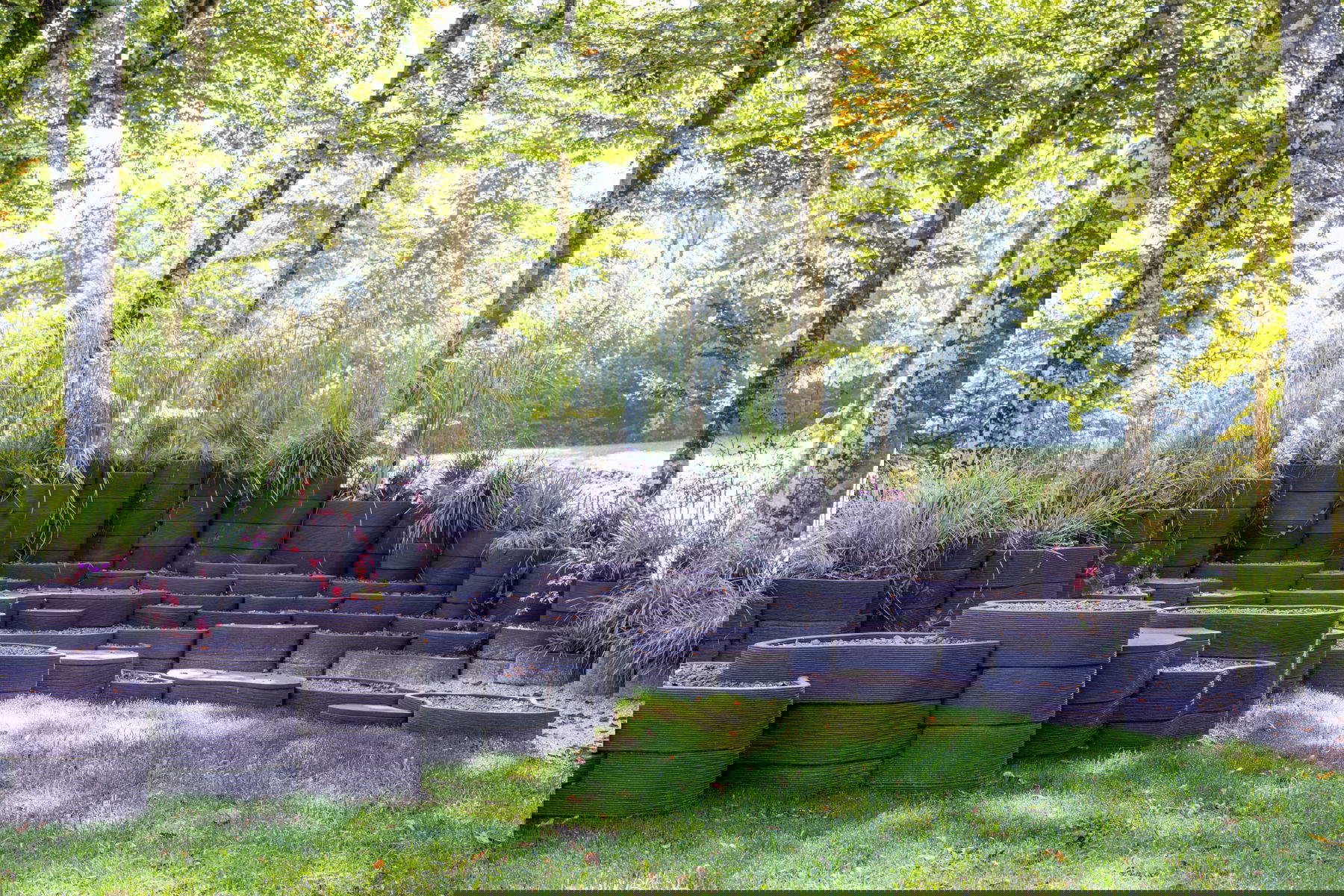 Mario Cucinella Architects, Diskrete Landschaft (2025) &copy; Arte Sella. Foto: Giacomo Bianchi