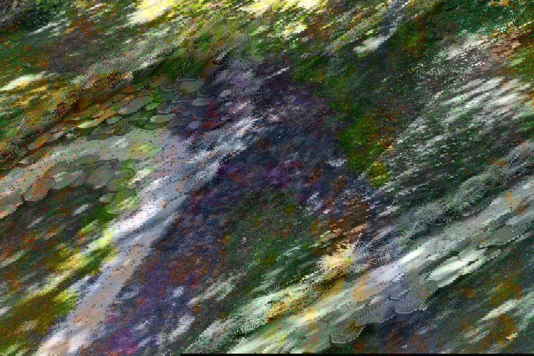 Mario Cucinella Architects, Diskrete Landschaft (2025) &copy; Arte Sella. Foto: Giacomo Bianchi