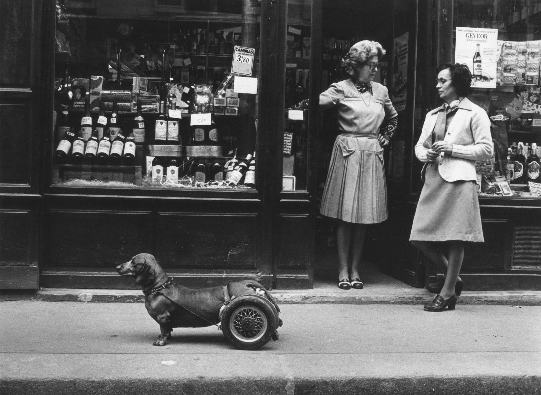 Robert Doisneau, Un chien &agrave; roulettes (Paris, 1977)