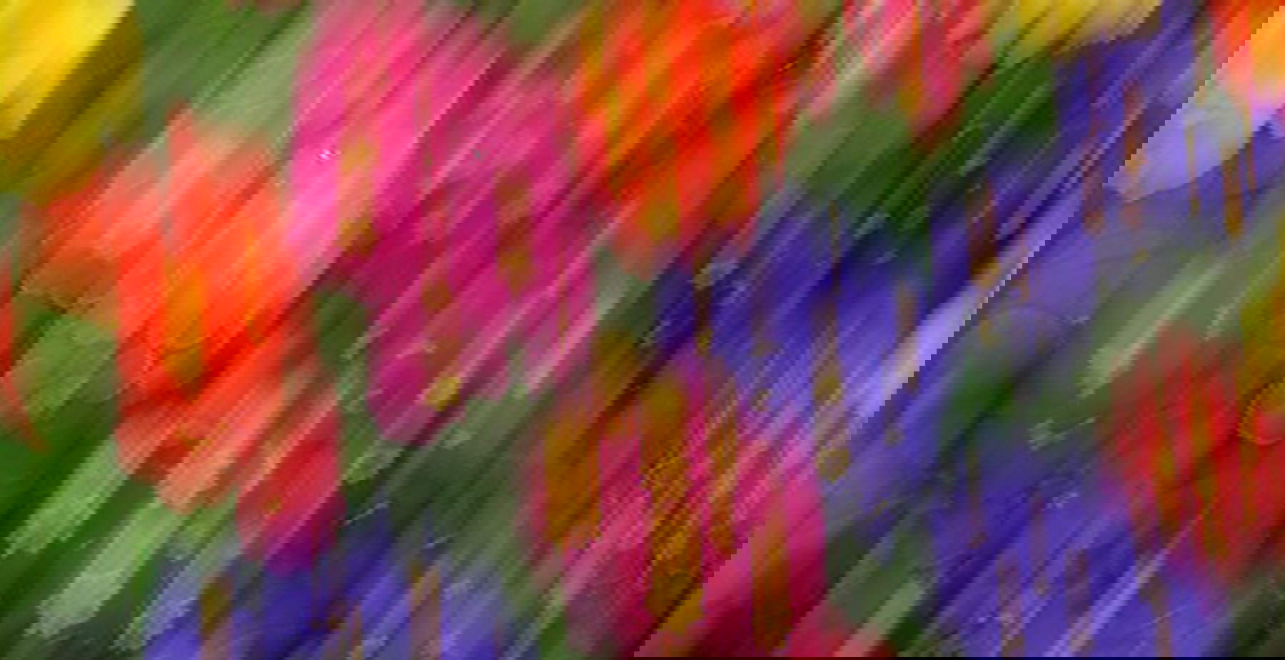 Fotografie und Malerei treffen in der Einzelausstellung von Edoardo Romagnoli in Mailand aufeinander