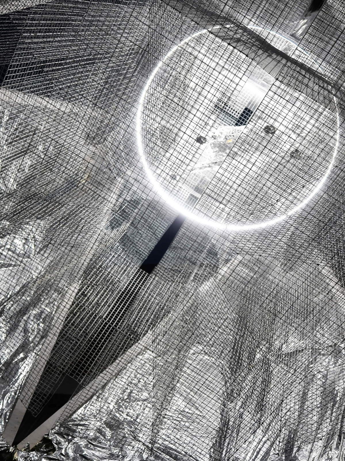 Photo courtesy of Edoardo Tresoldi, 2025