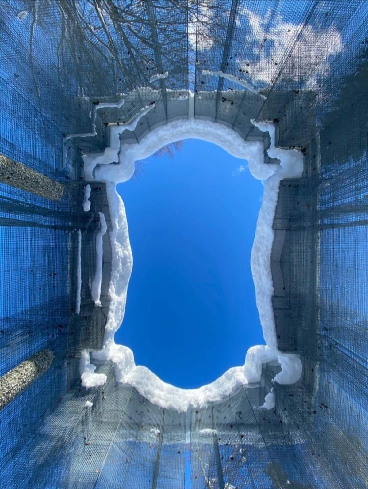Edoardo Tresoldi, Simbiosis (2019)