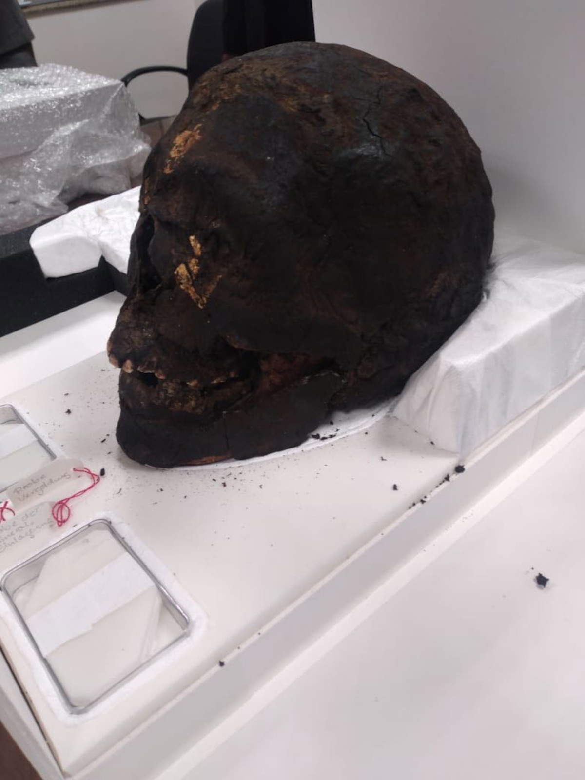 Ägypten: 13 archäologische Funde aus Großbritannien und Deutschland zurückgegeben