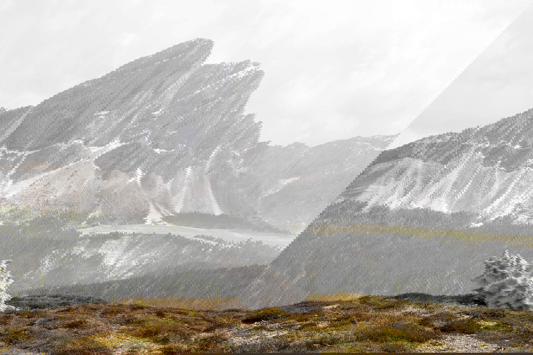 Elias Jocher, Morph-Modul